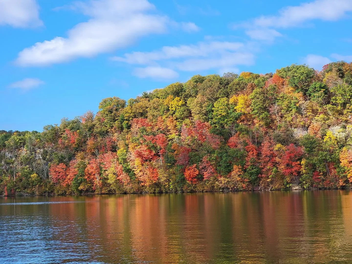 Did You Know? π Claytor Lake is more than just a beautiful spot to enjoy fishing, boating, swimming, and picnicking, it’s an engineering marvel!
π 4,633 acres
π 21 miles long with 100+ miles of shoreline
π Normal full pond elevation: 1,846