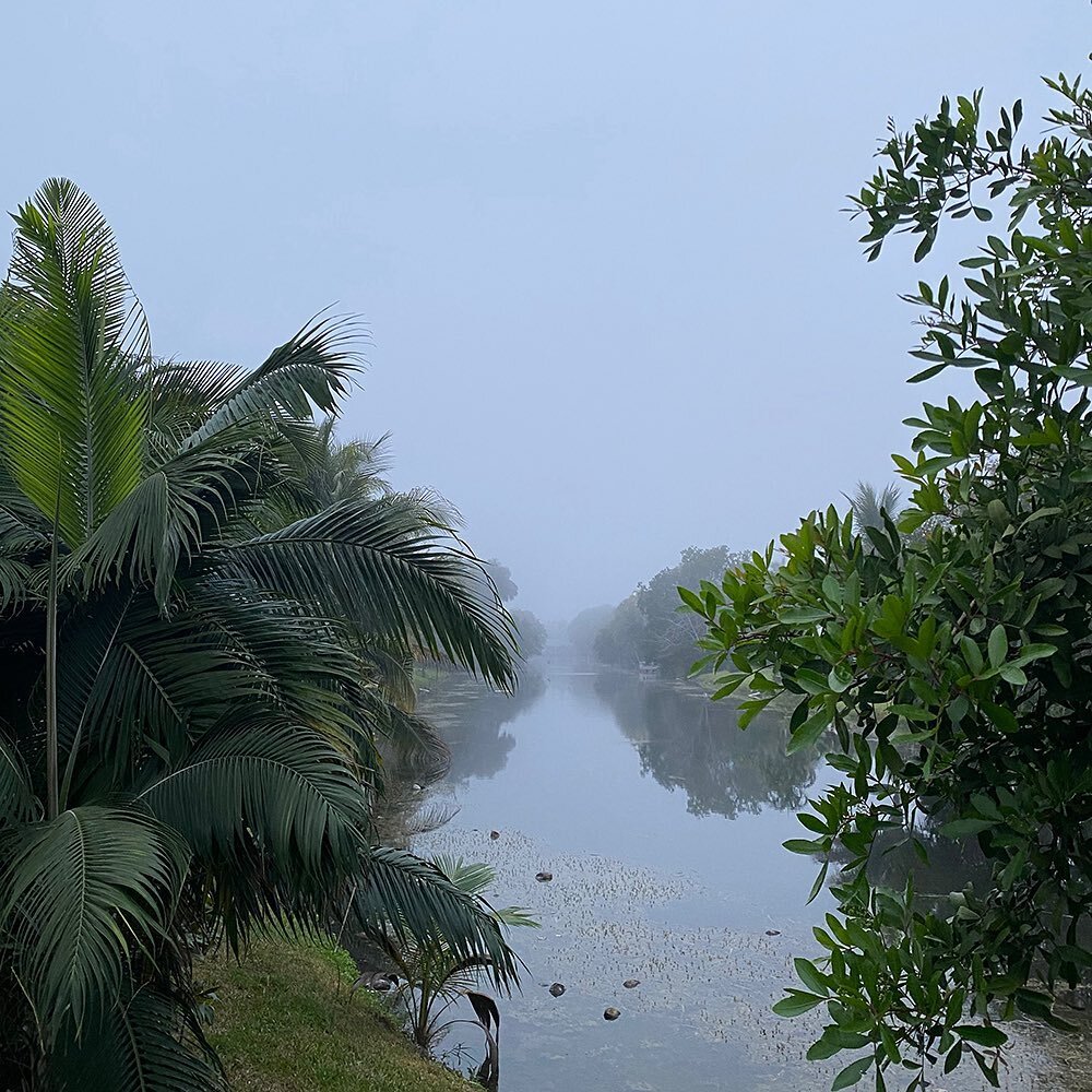 Florida winter appreciation