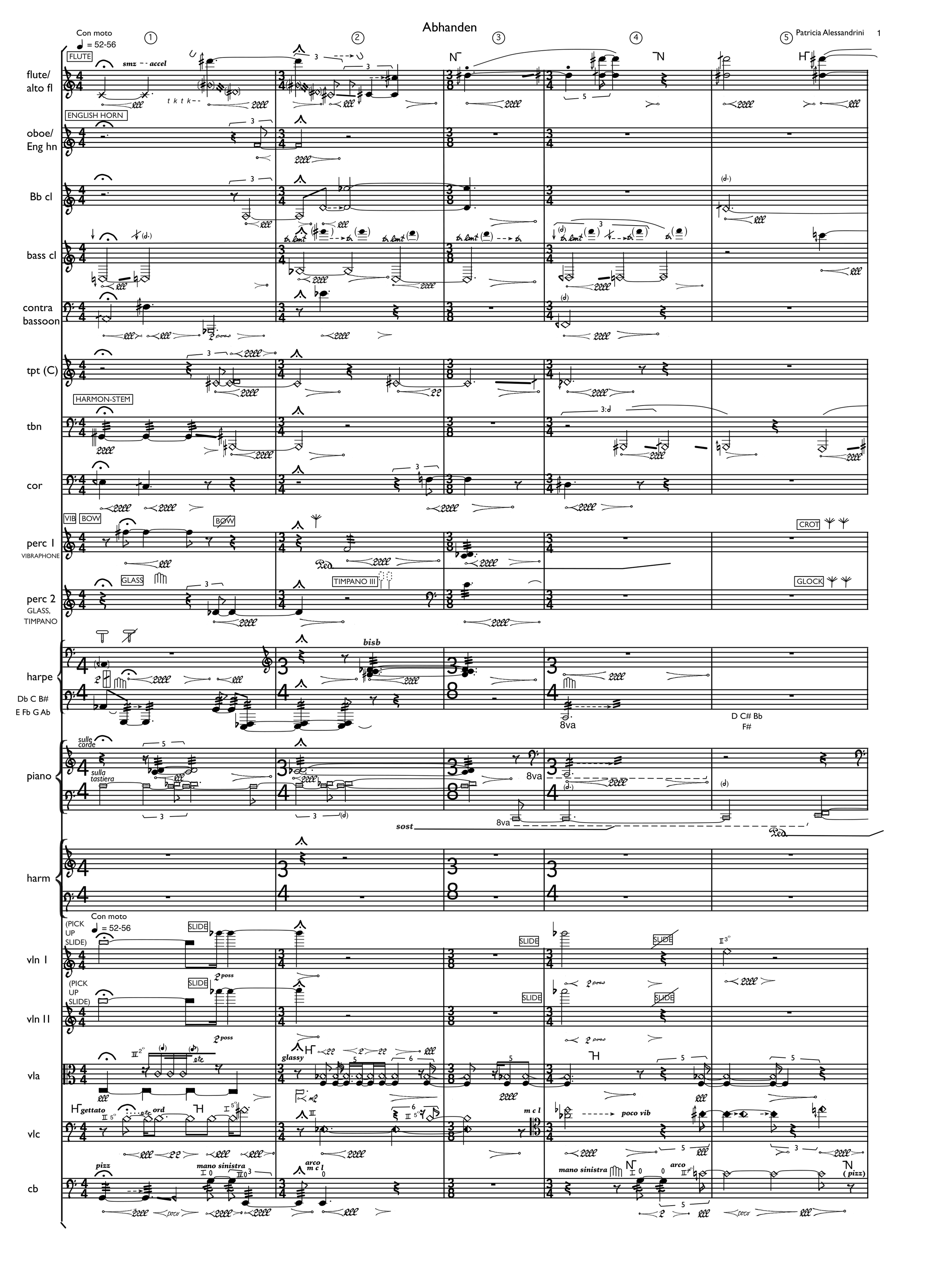 Alessandrini-Abhanden-00-score-notes-01.png