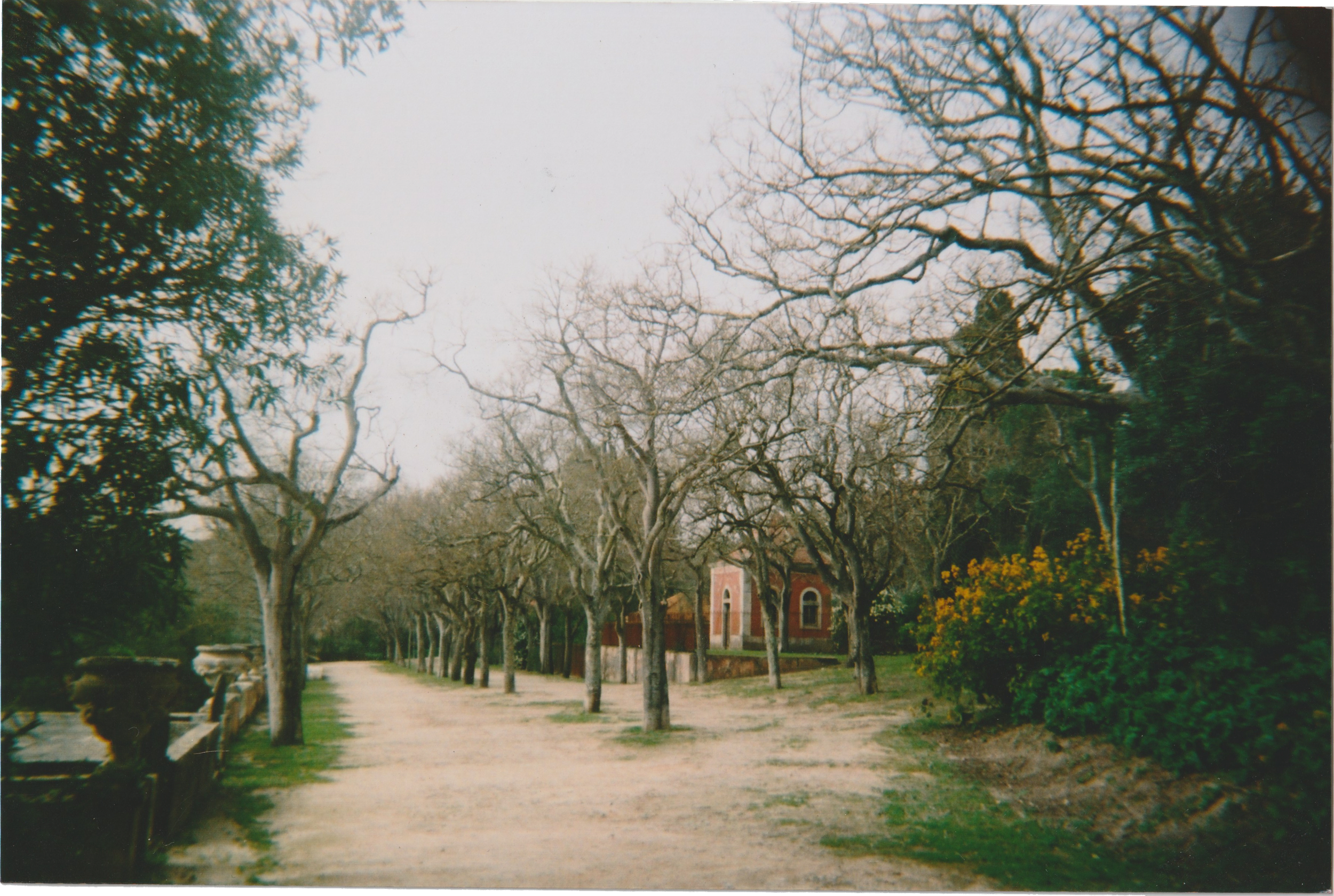 liceu_fotografias1.png