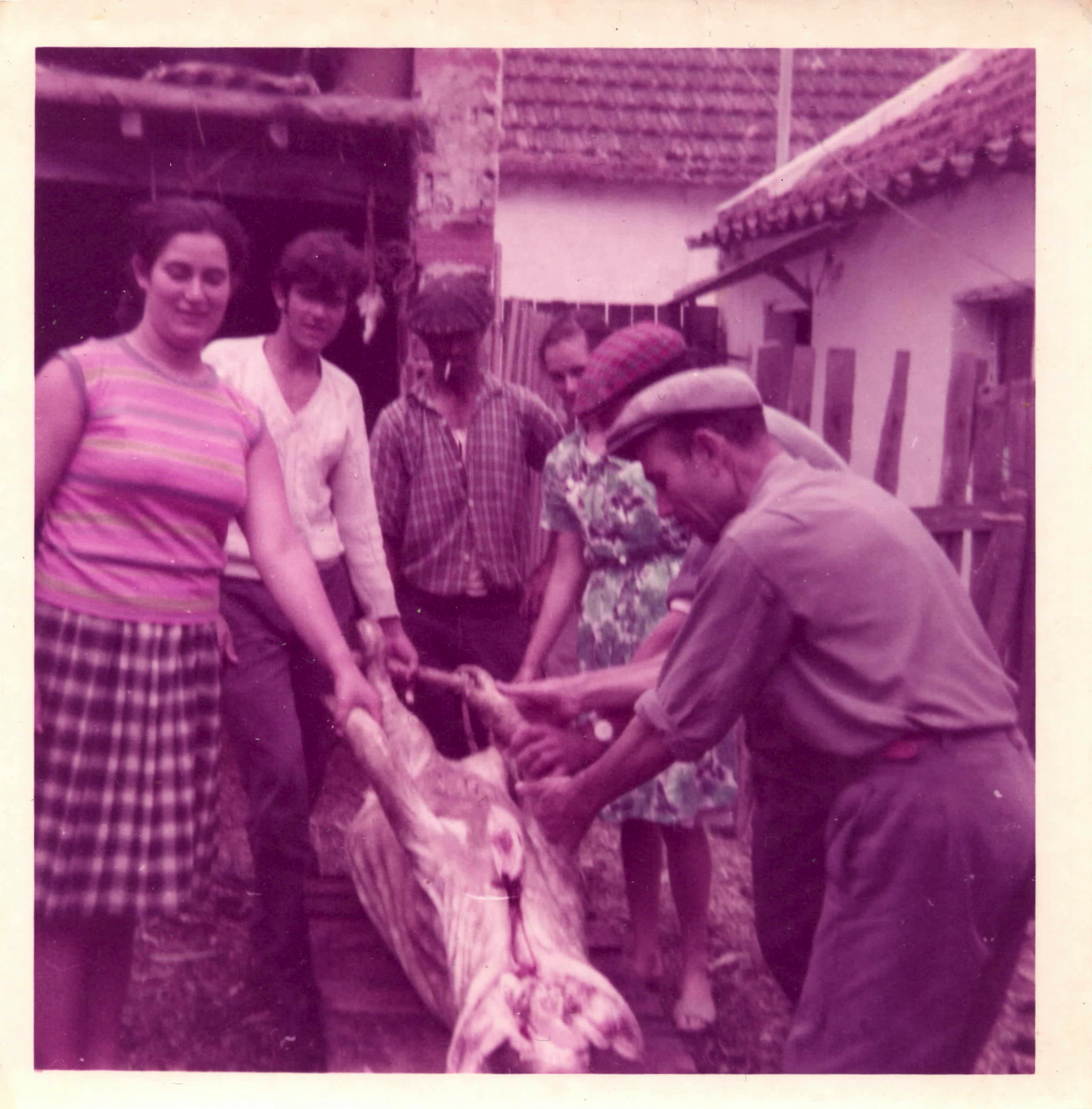 Fotografia pessoal de  Maria Pereira Jesus .