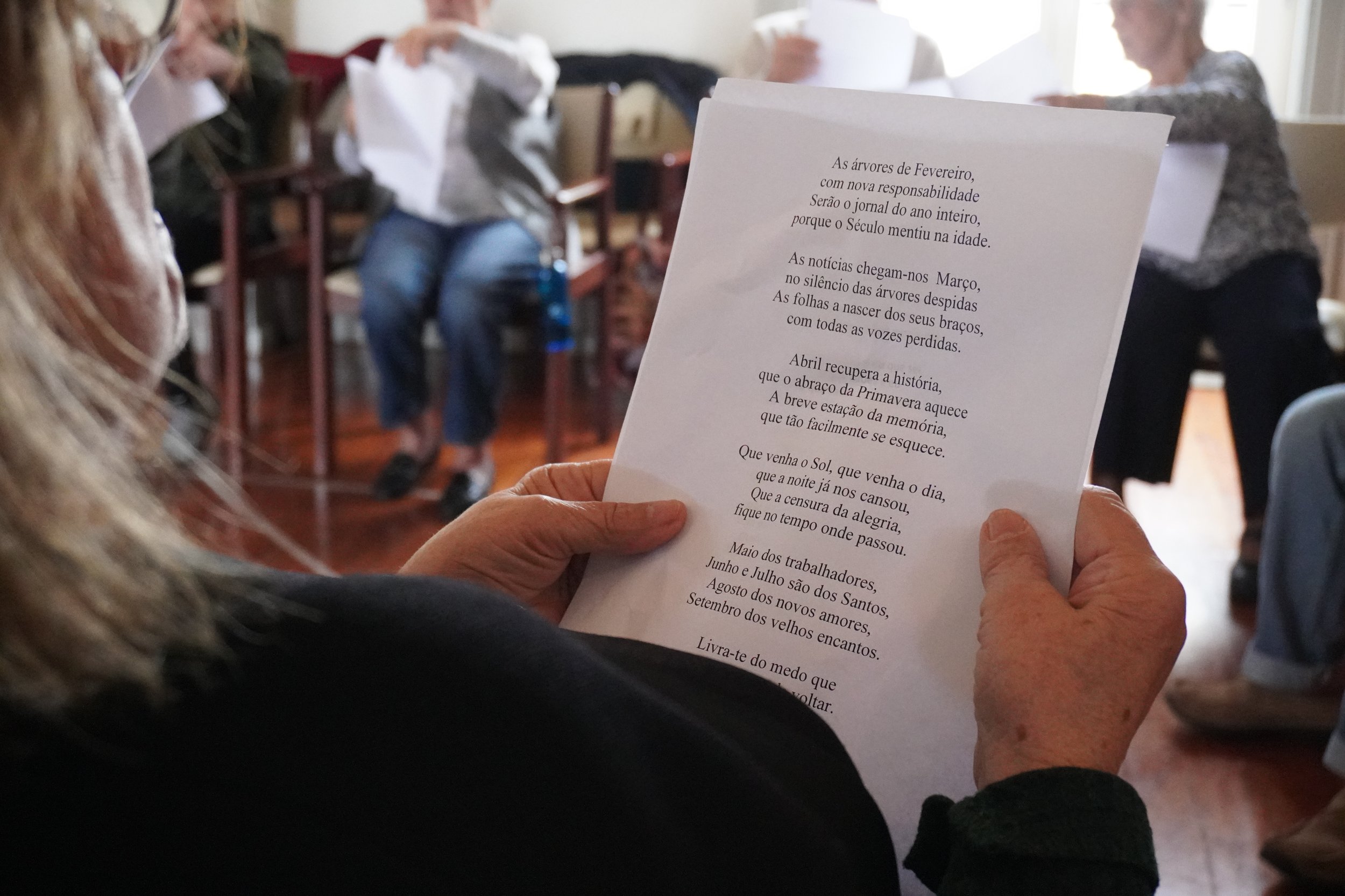 quatro quadras soltas.JPG