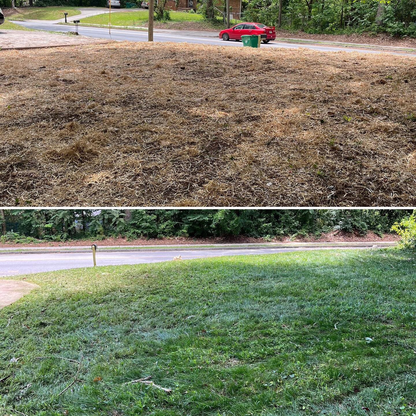 What a little seed will do! New yard by Spencer 🌱
.
.
#landscaping #atlantalandscaper #atlantalandscaping #grass #beforeandafter #atl #atlanta