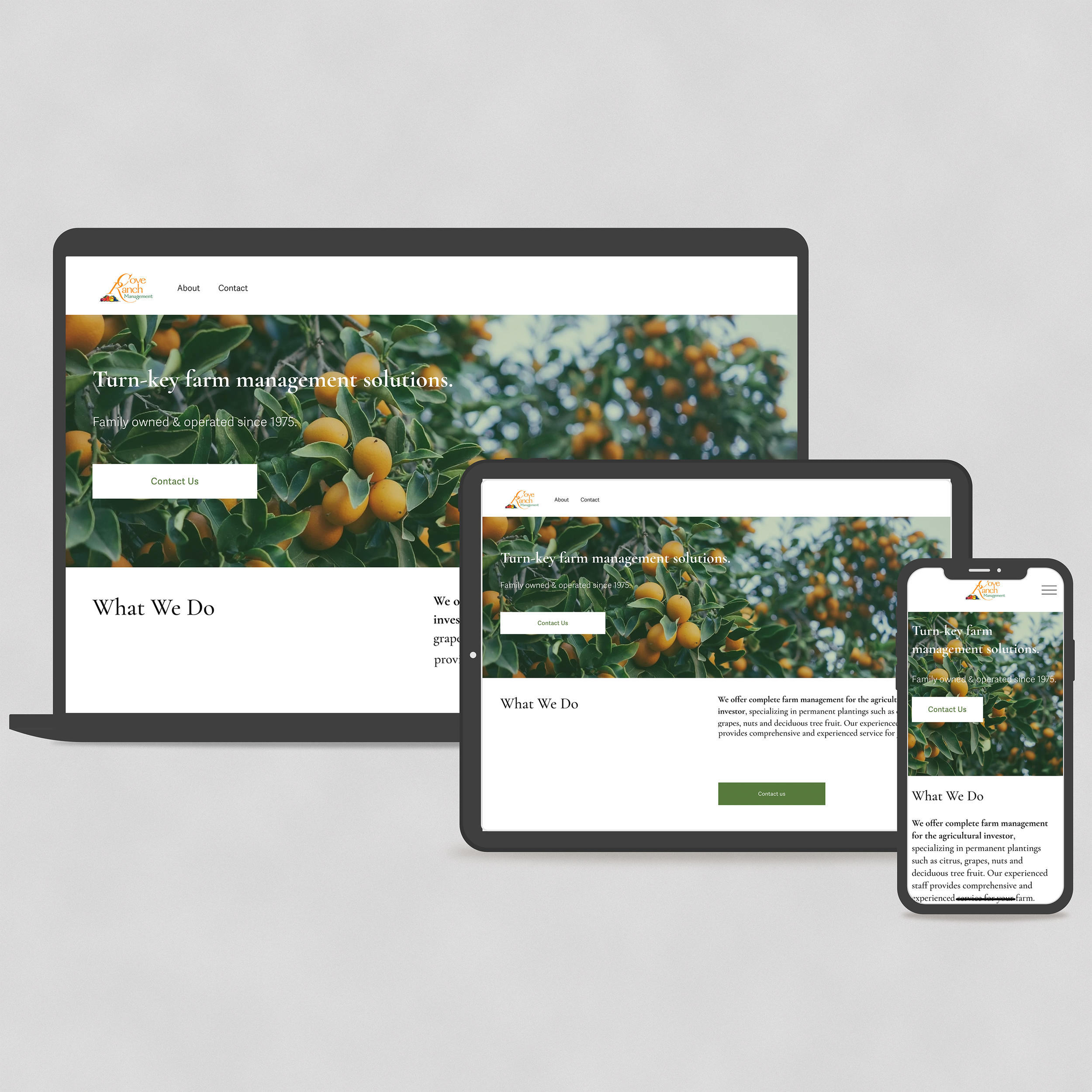 Cove Ranch Mockup.png