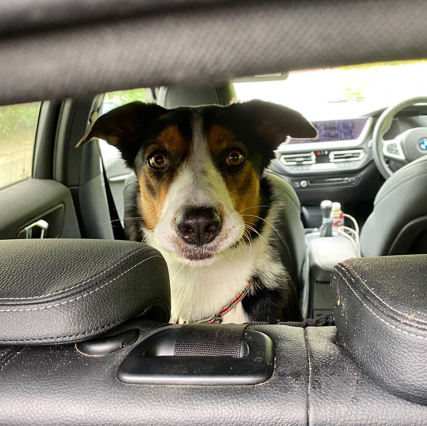 Do you reckon he knows we&rsquo;re at the beach? 🤨