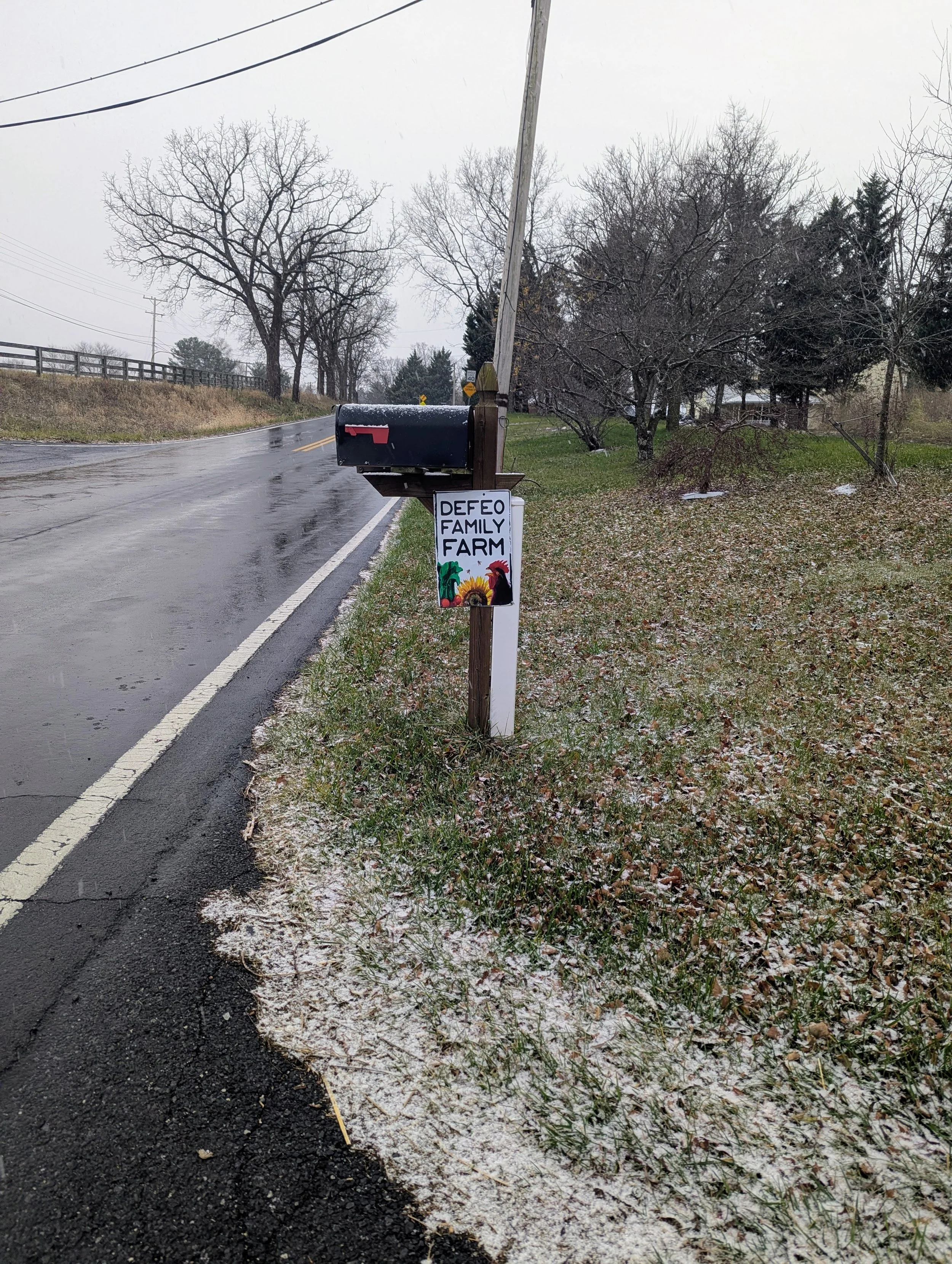 Parsley, Sage, Rosemary, &amp; Time