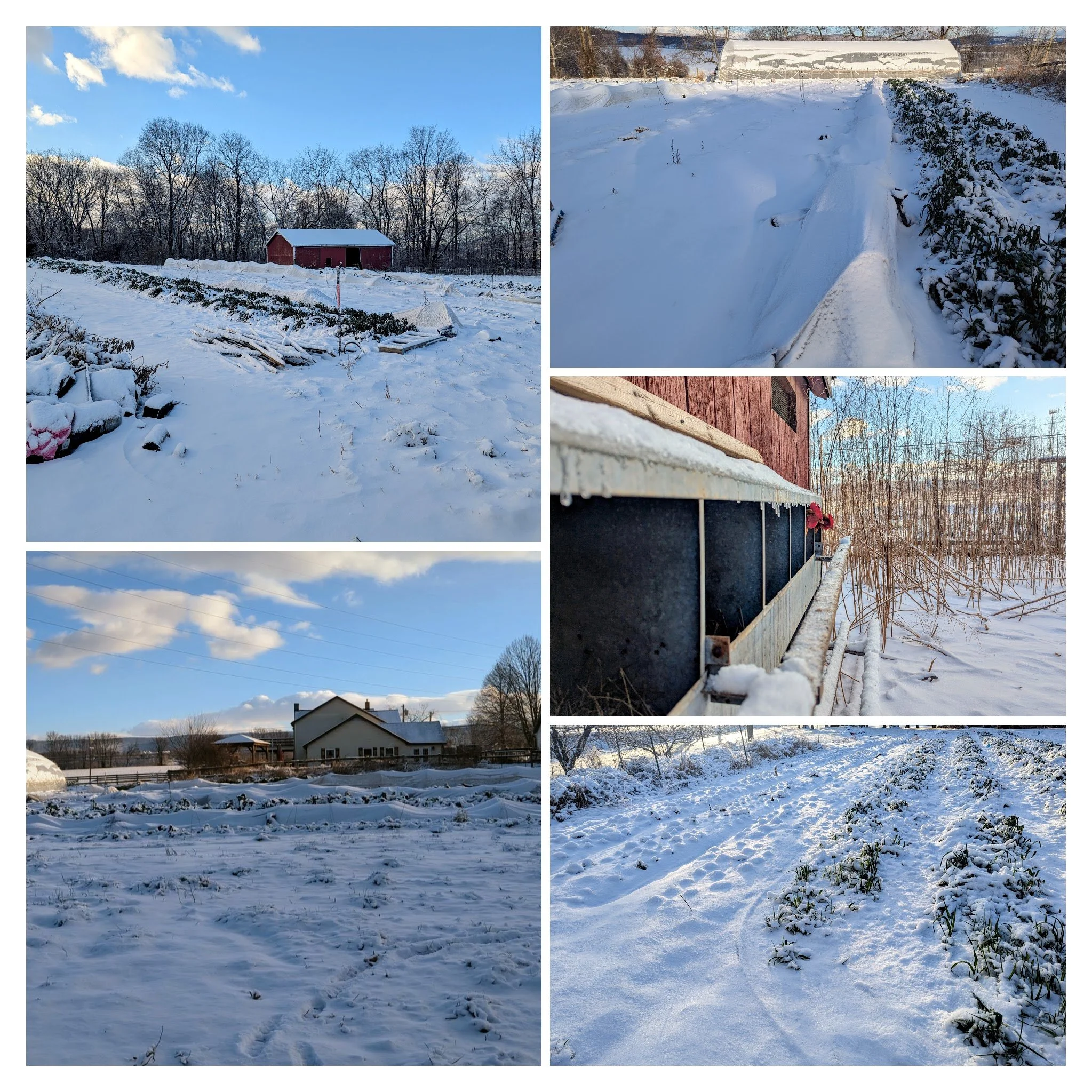 Winter Brings in the Close of the 2025 Season