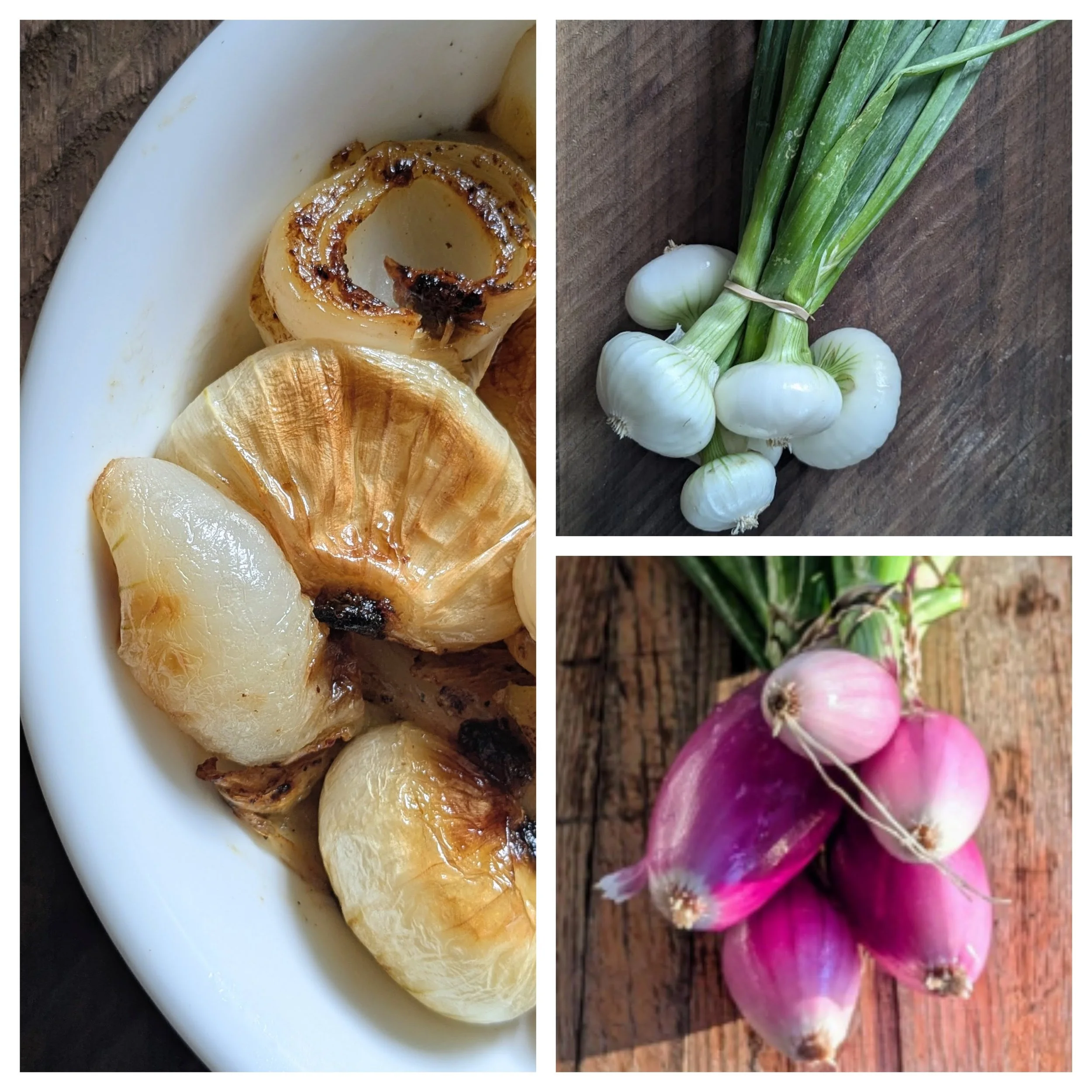 Onion Futures
