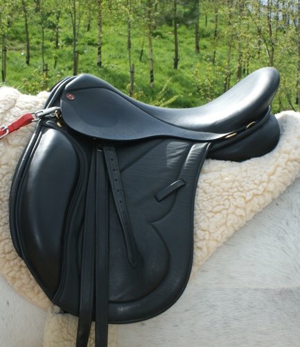 Comfort Elite Evolution Saddles — Comfort Equine
