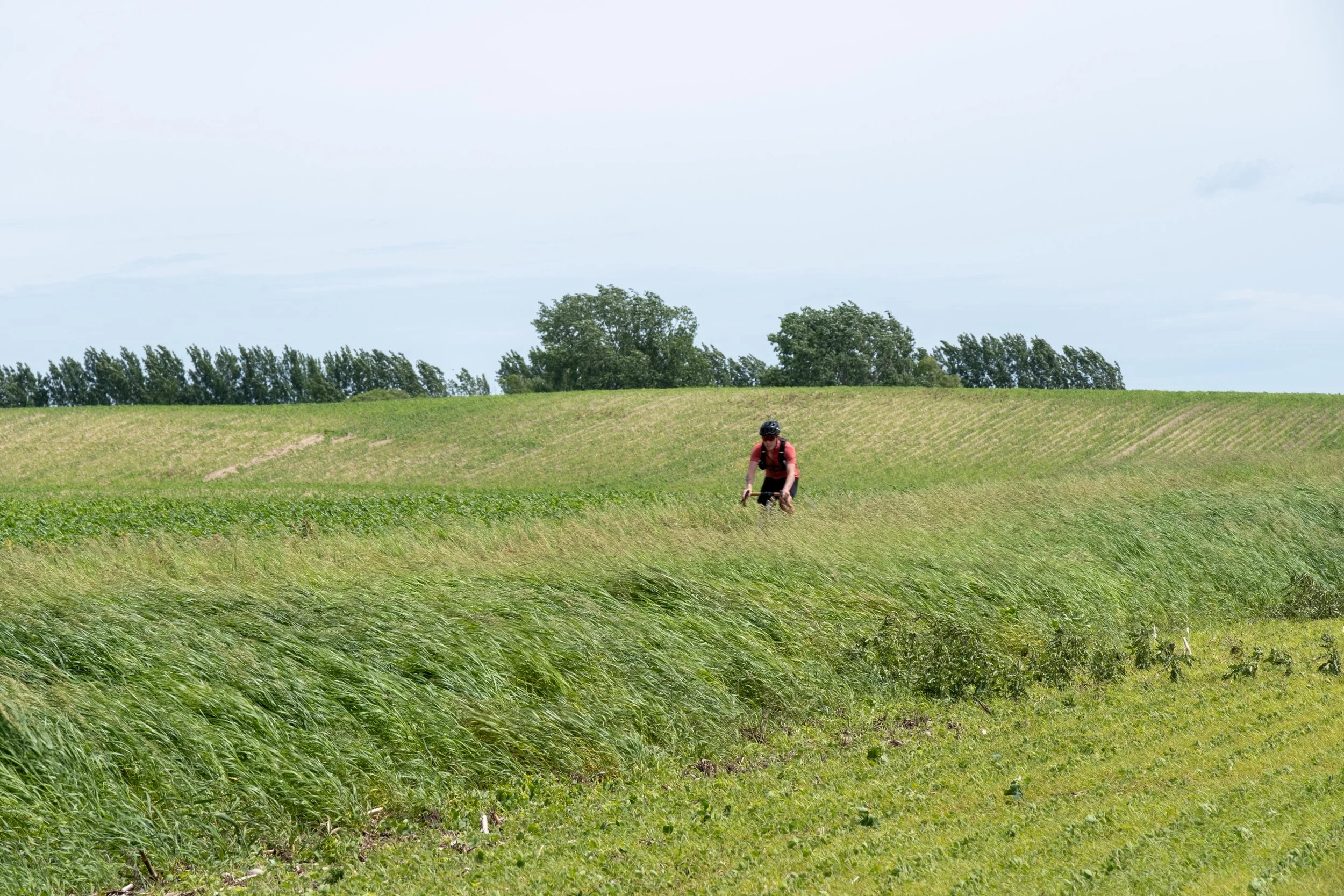 DSCF5877.jpg