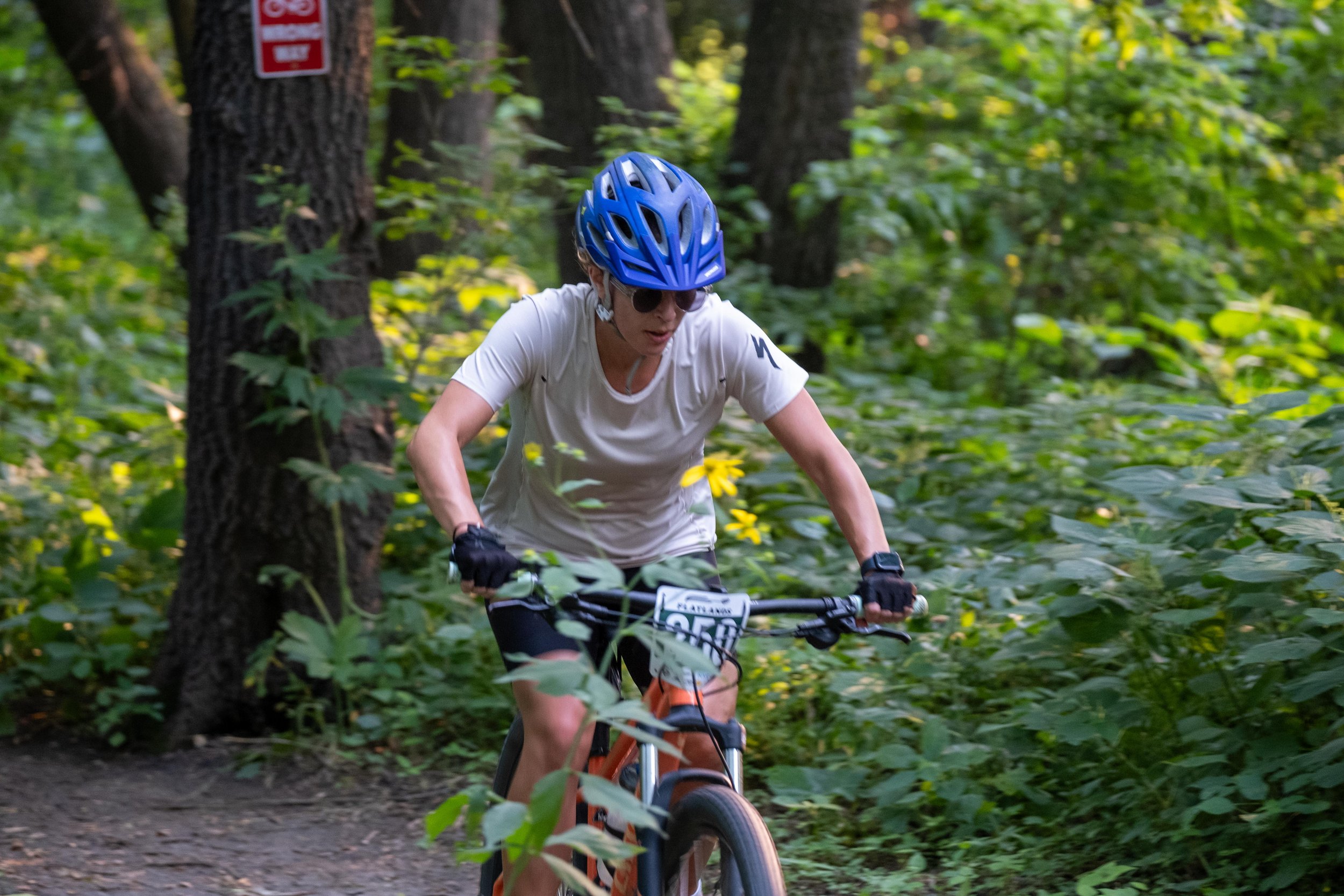 DSCF7337.jpg