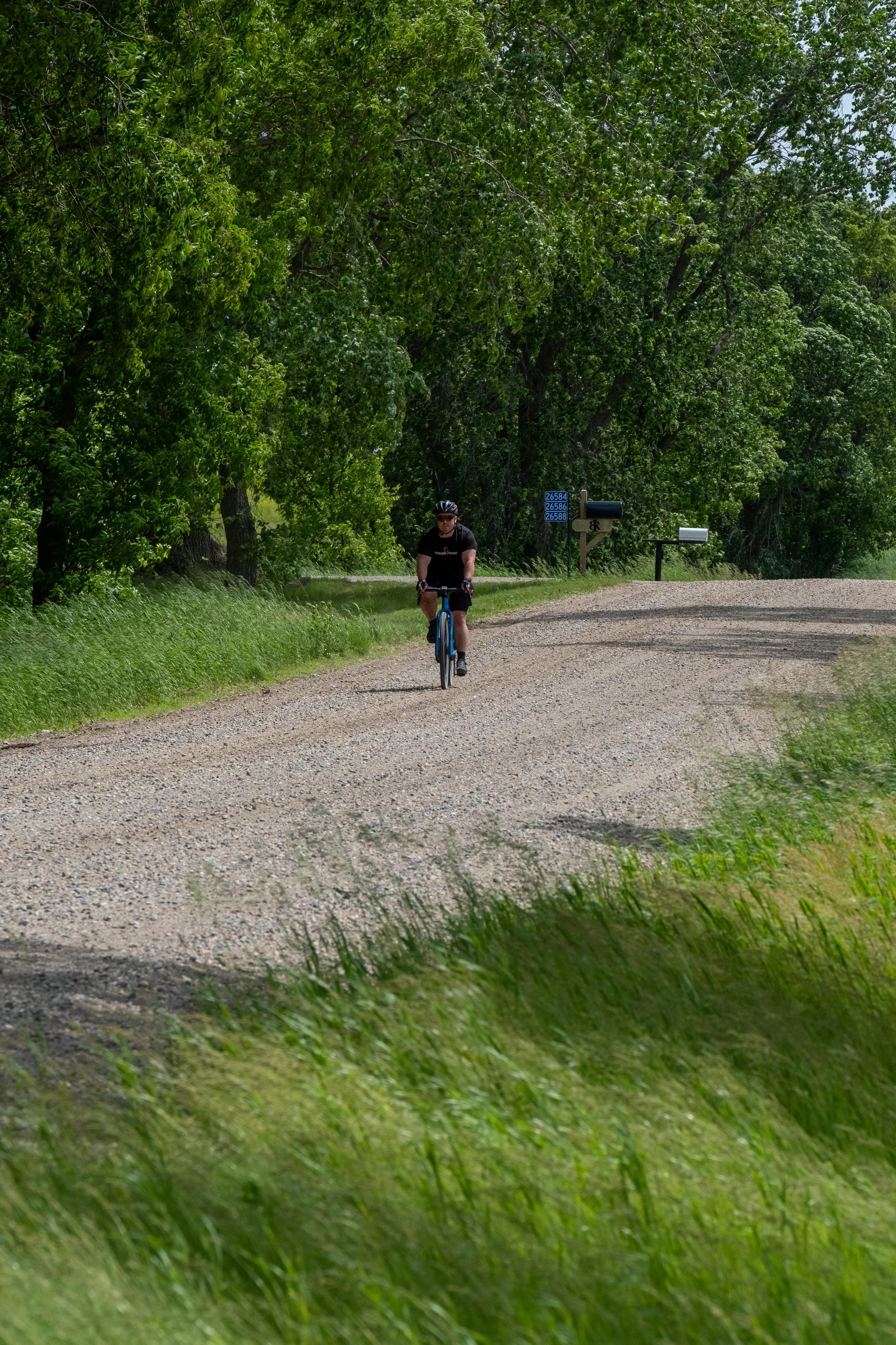DSCF5785.jpg