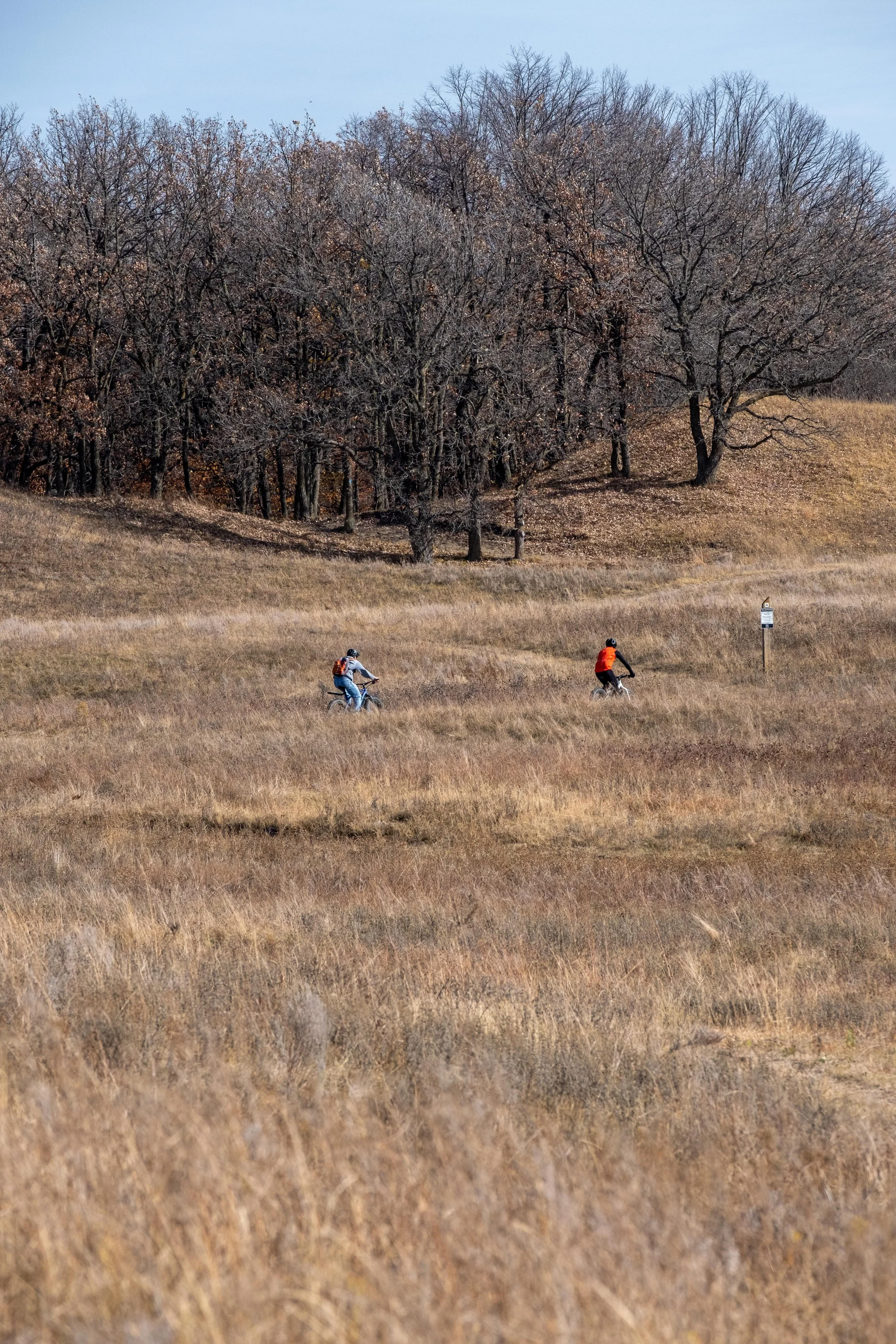 DSCF0863.jpg