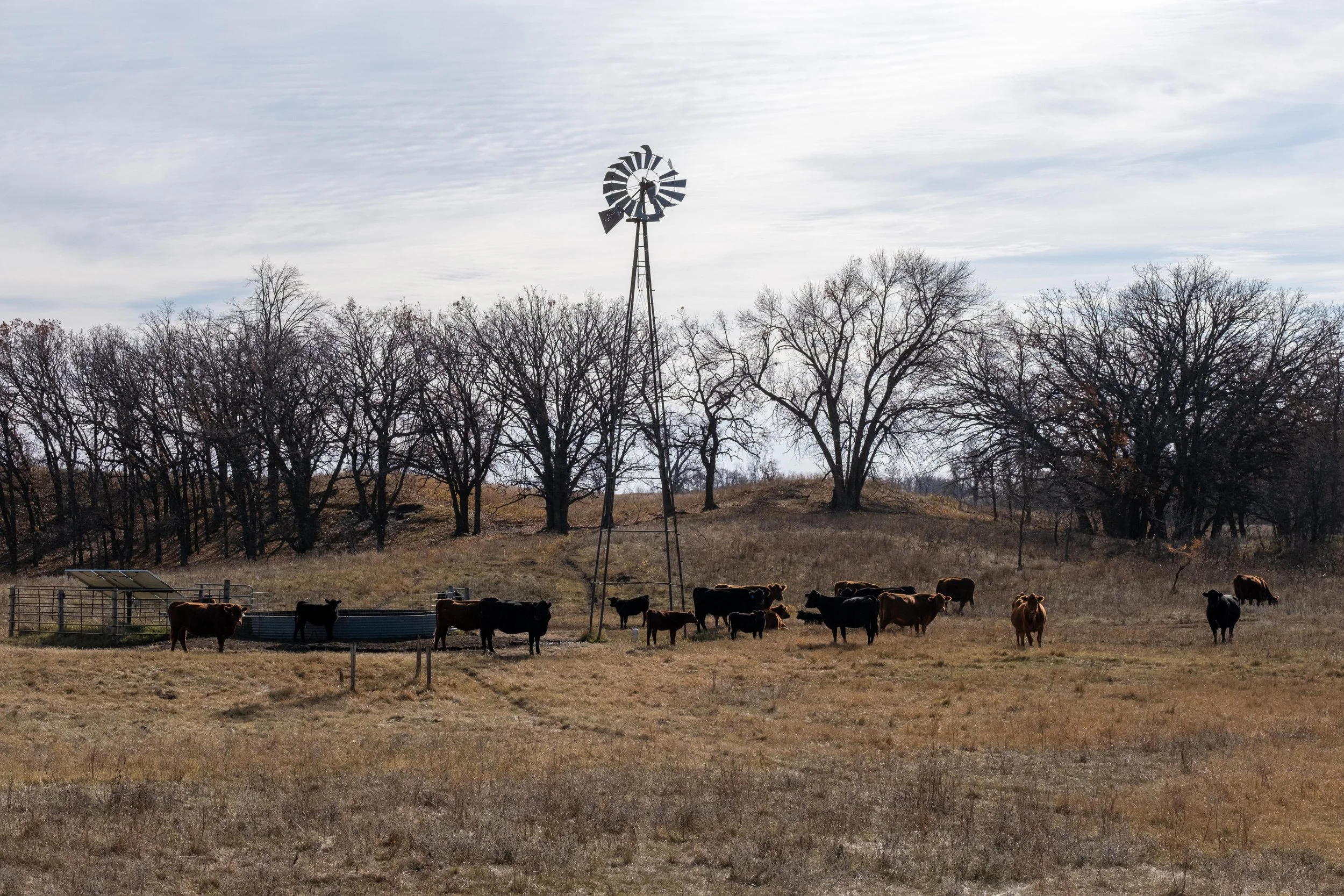 DSCF0862-2.jpg