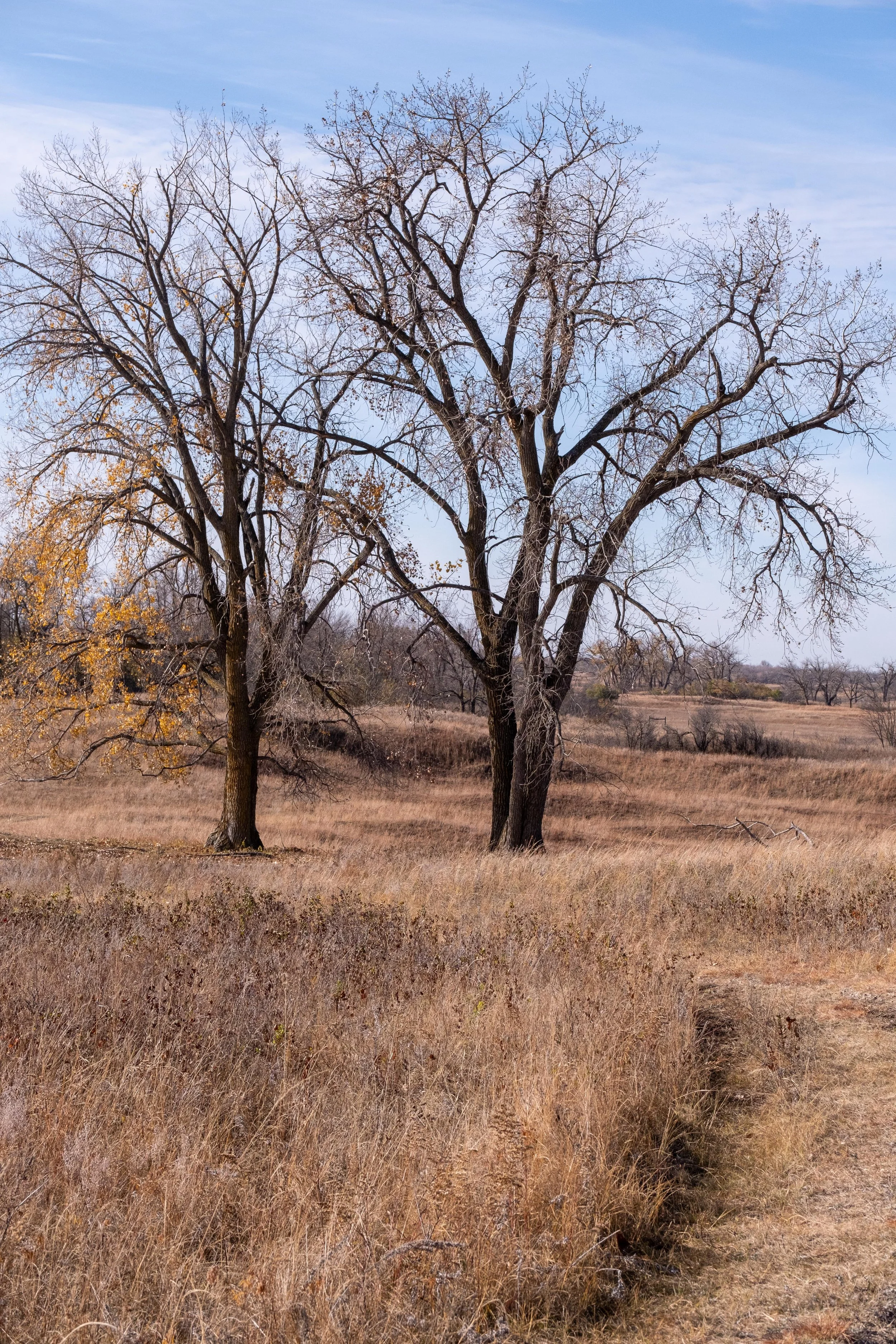 DSCF0842.jpg