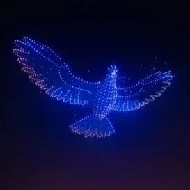 Drone Discovery in Dallas and Dubai