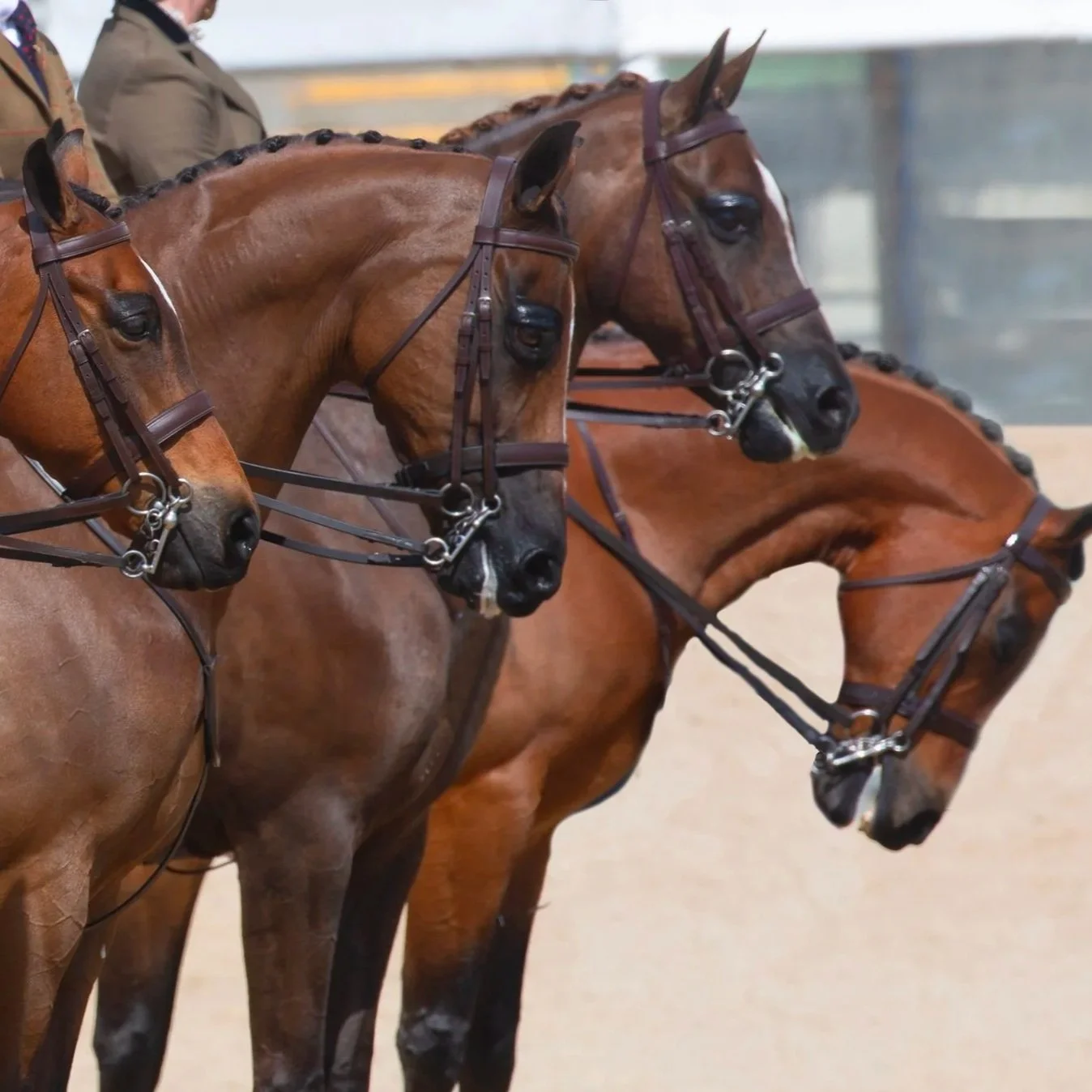 Melbourne Cup Getaway