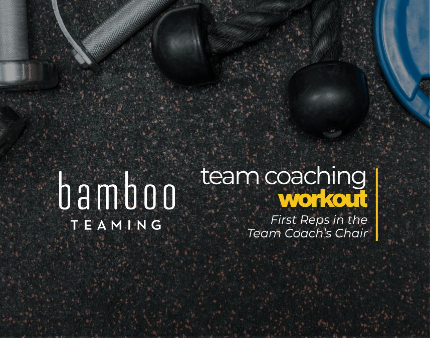 Team Coaching Workout: First Reps in the Team Coach’s Chair