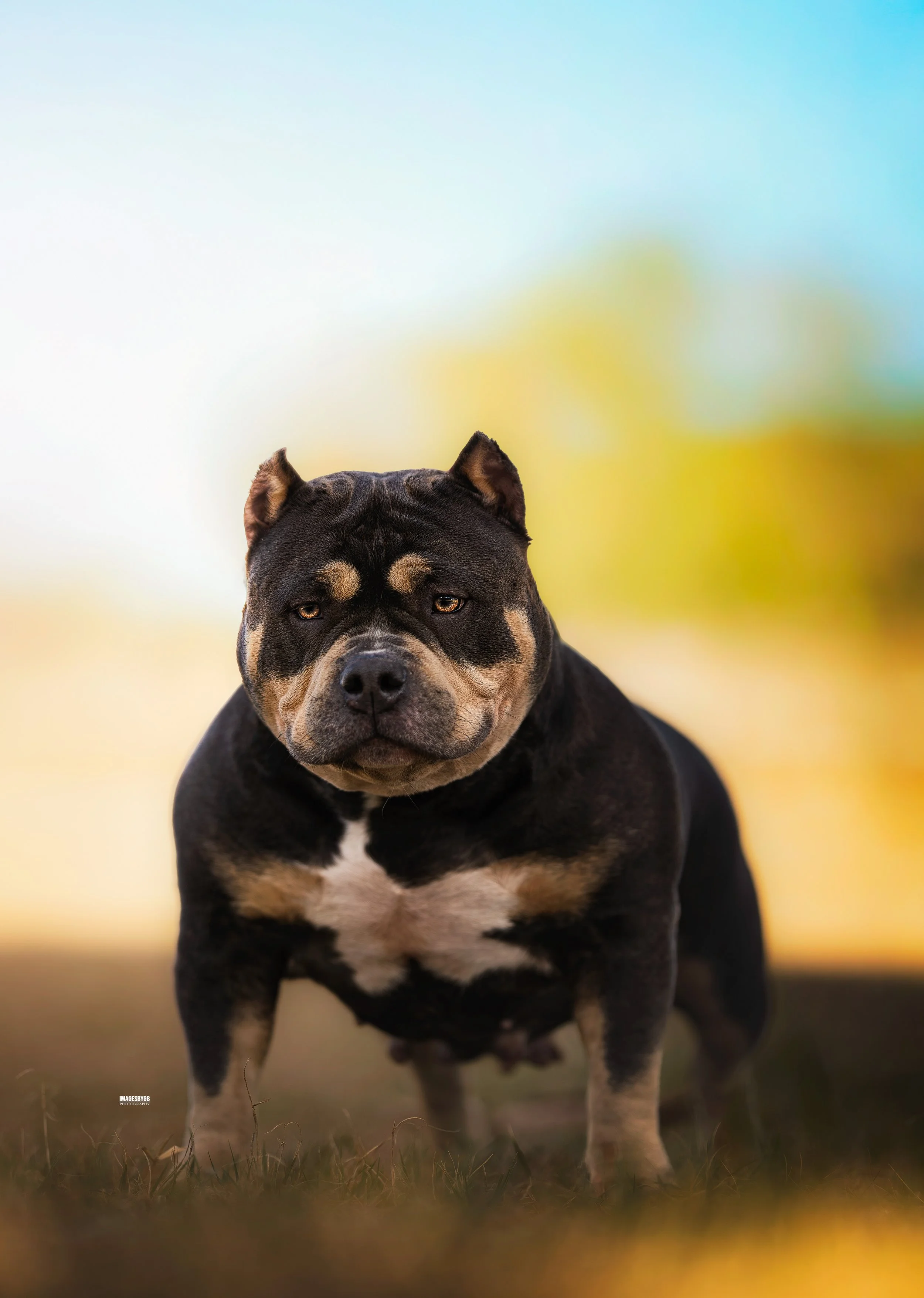 EOS10409-Recovered.jpg .jpg