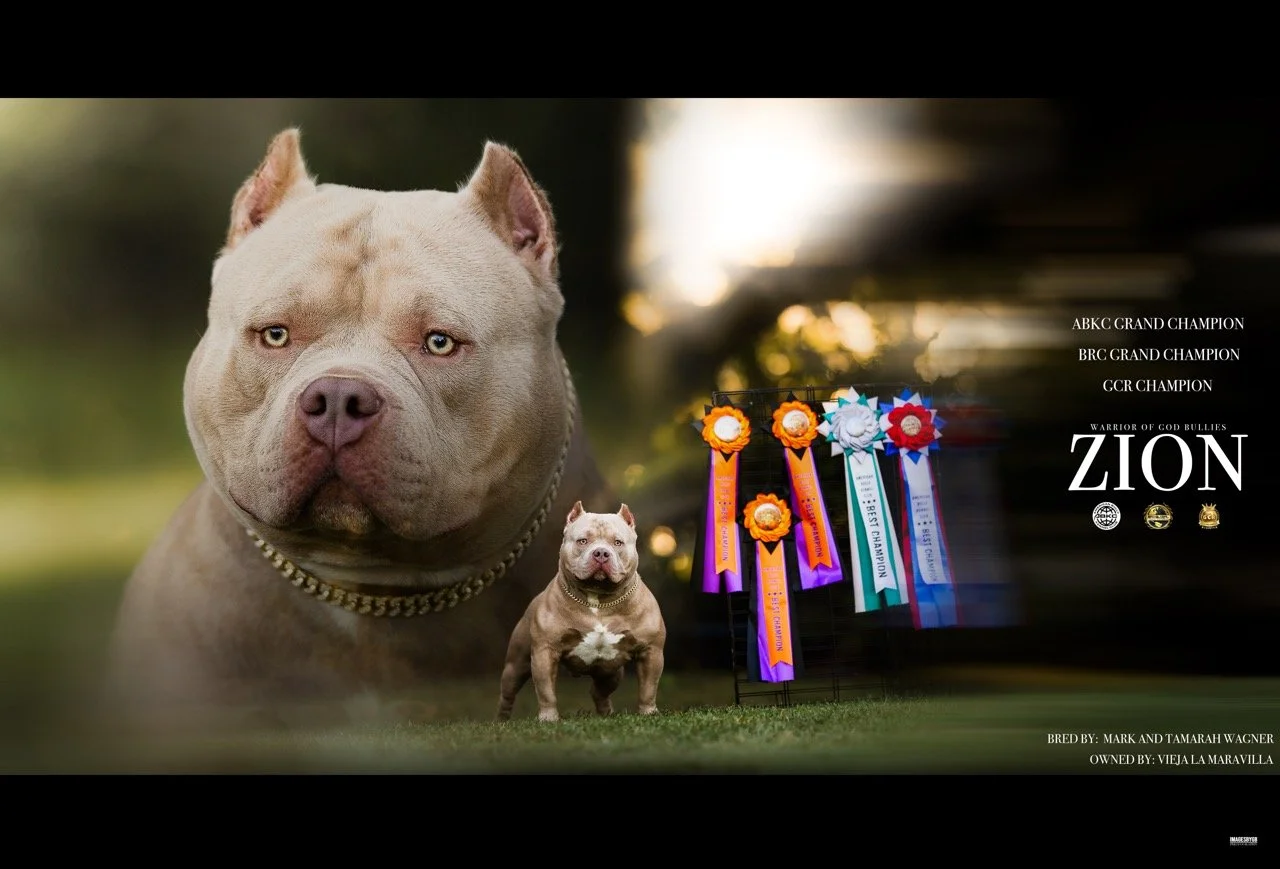 EOS10003.  Large.jpeg