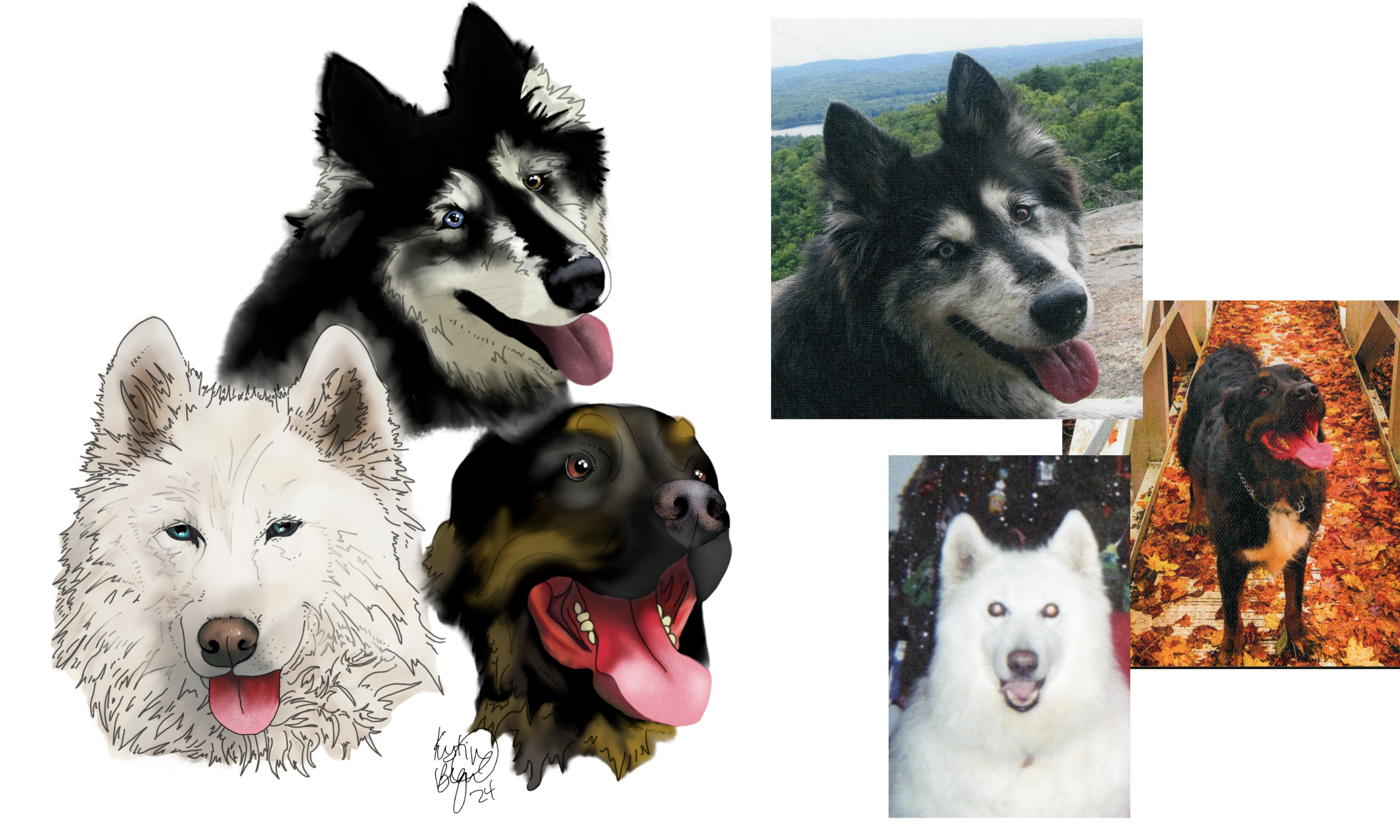 kristin bergene pet portrait gallery (2).png