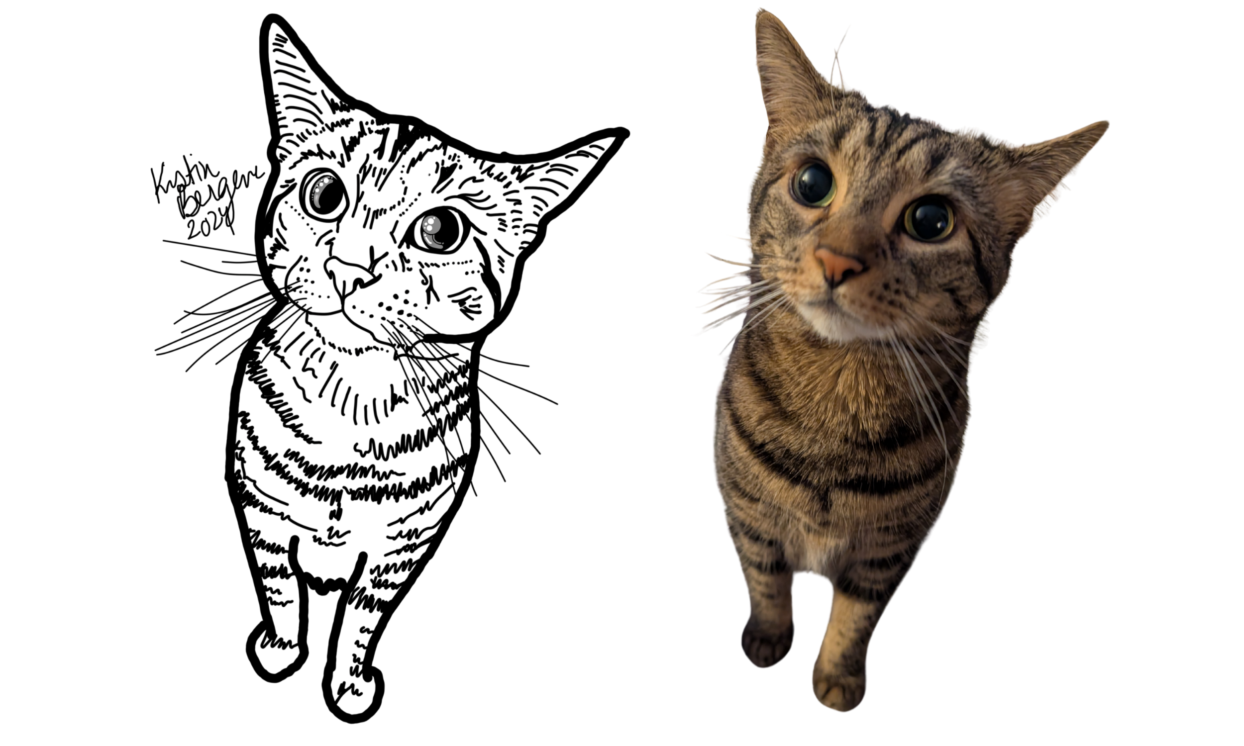 kristin bergene pet portrait gallery (19).png