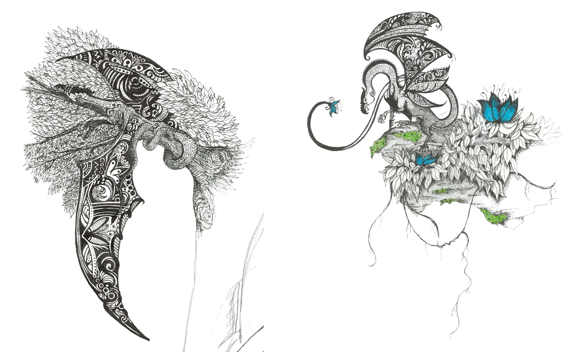 (website) Gallery Images (2).png