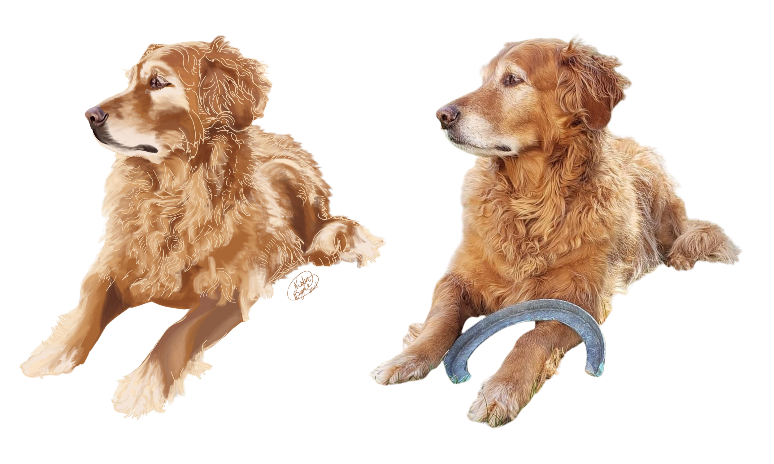 kristin bergene pet portrait gallery (9).png