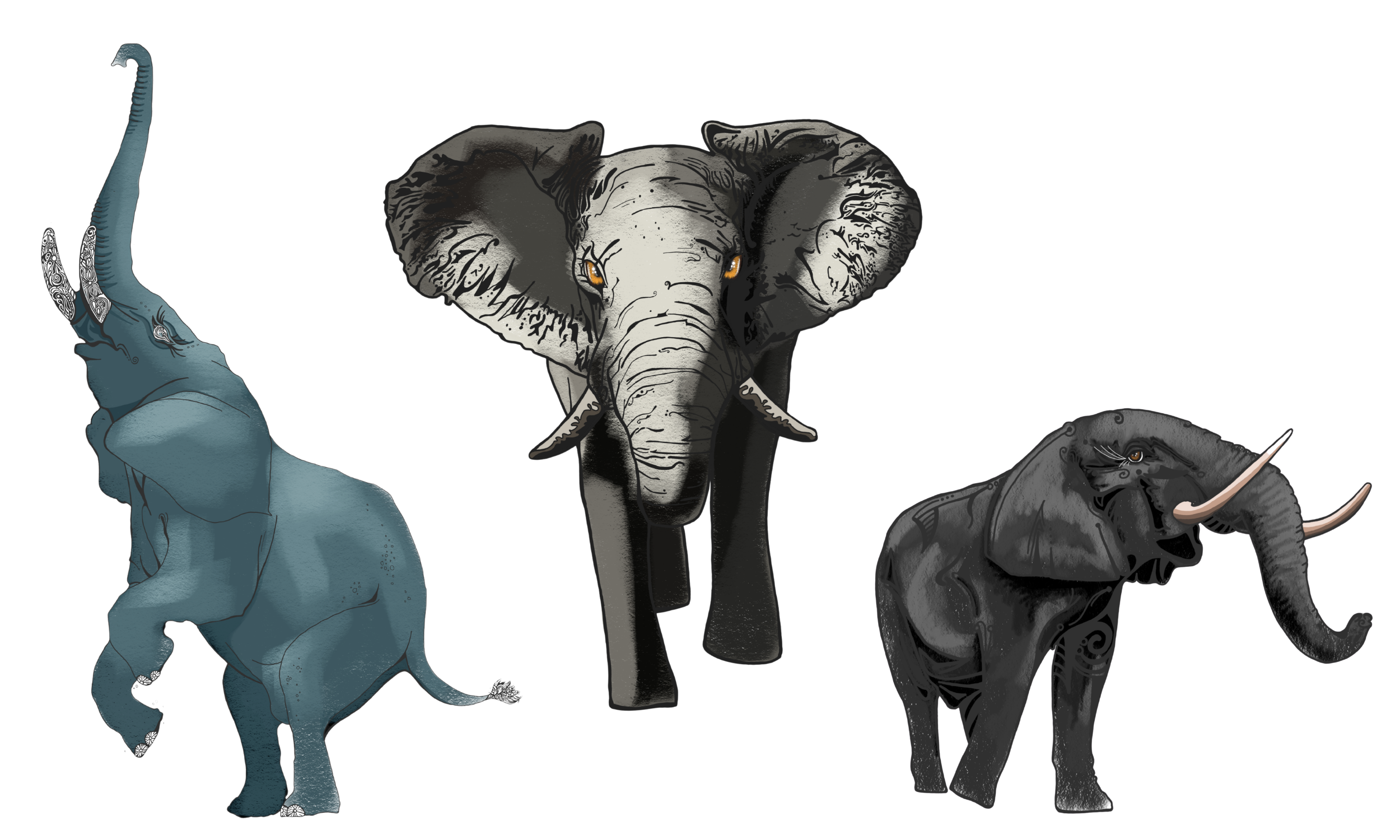 Digital Illustrations