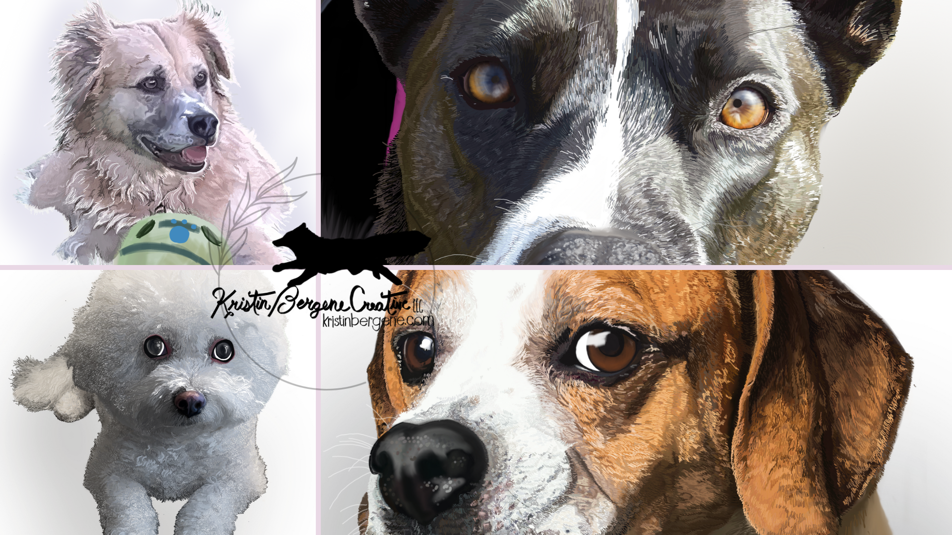 Pet Portraits