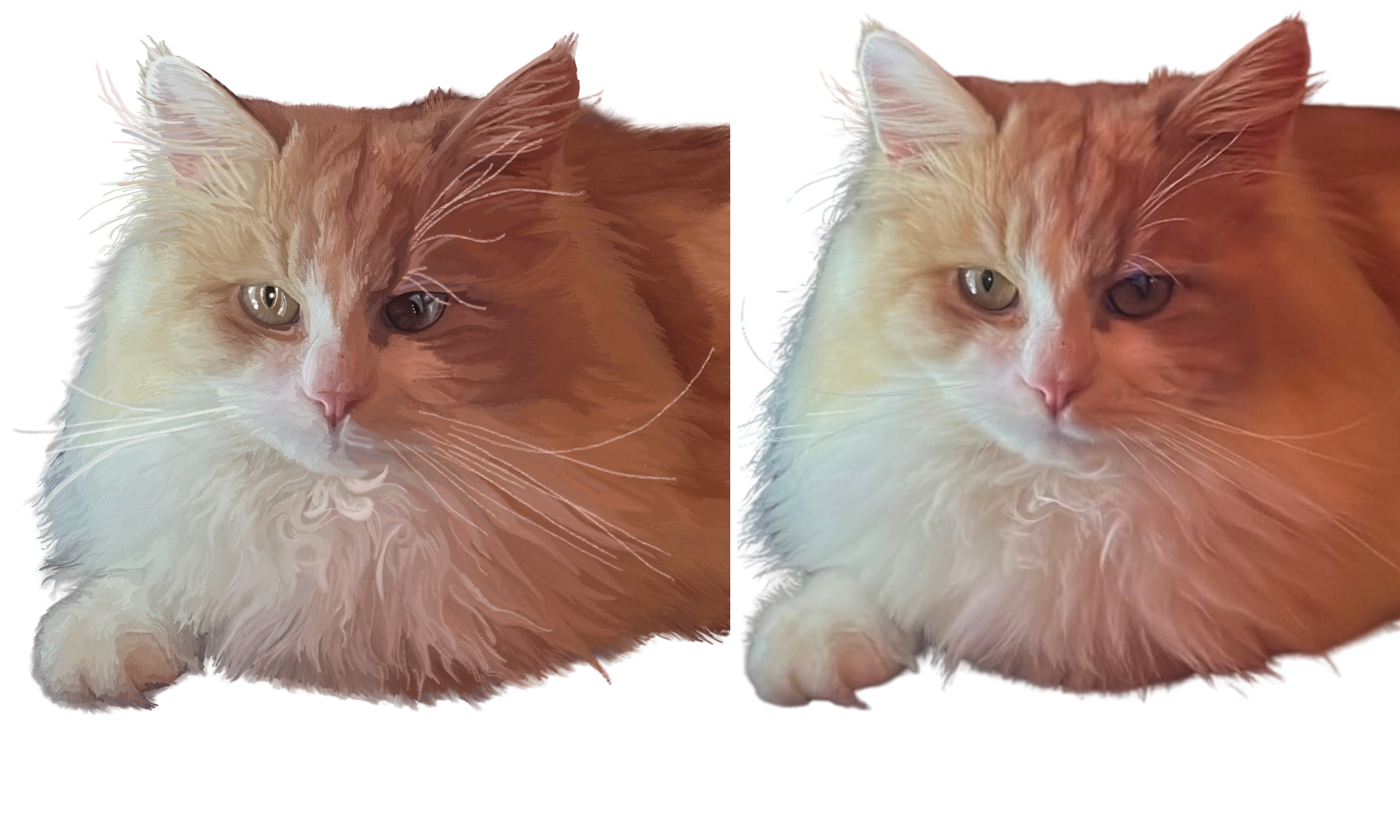 kristin bergene pet portrait gallery (18).png
