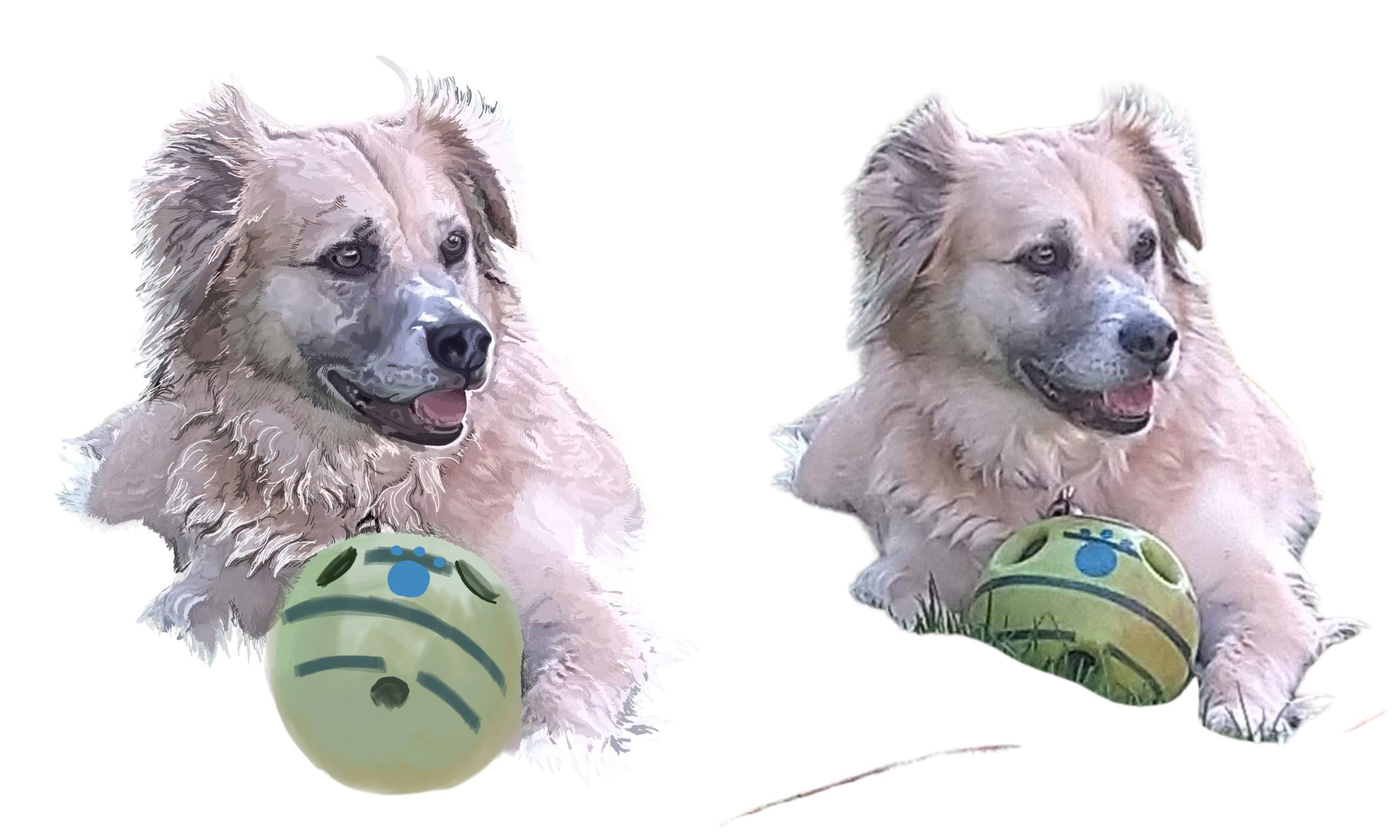 kristin bergene pet portrait gallery (11).png