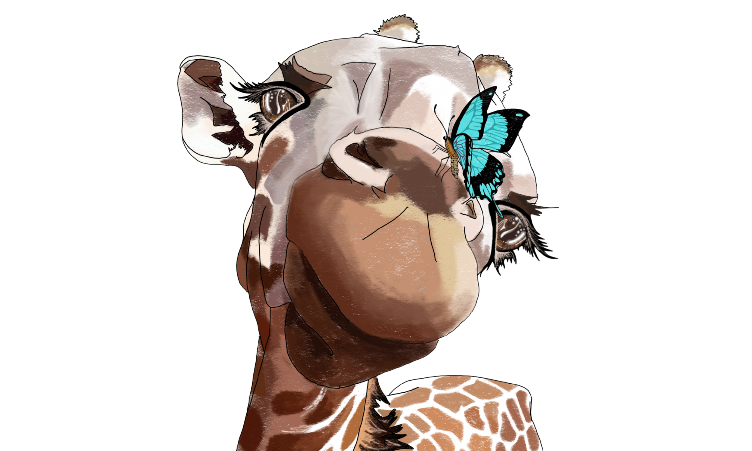Animals & Creatures Illustrations