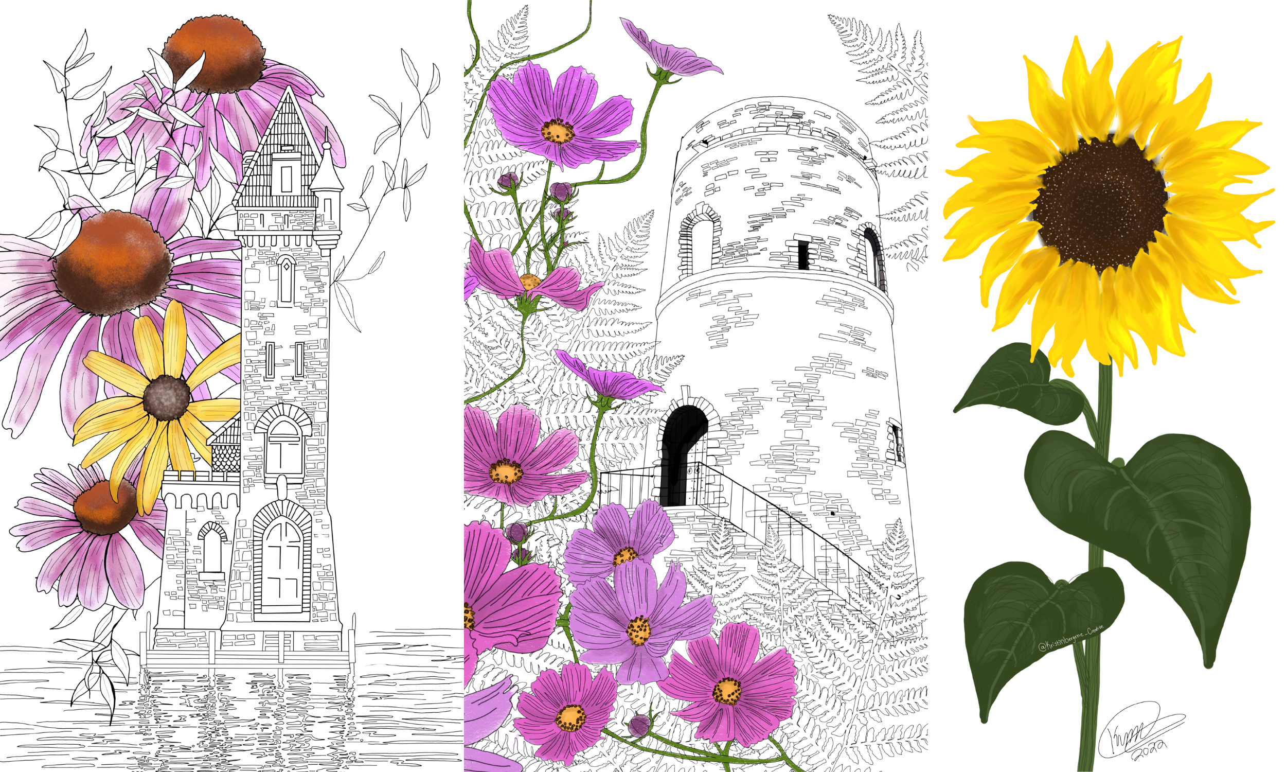 Digital Illustration