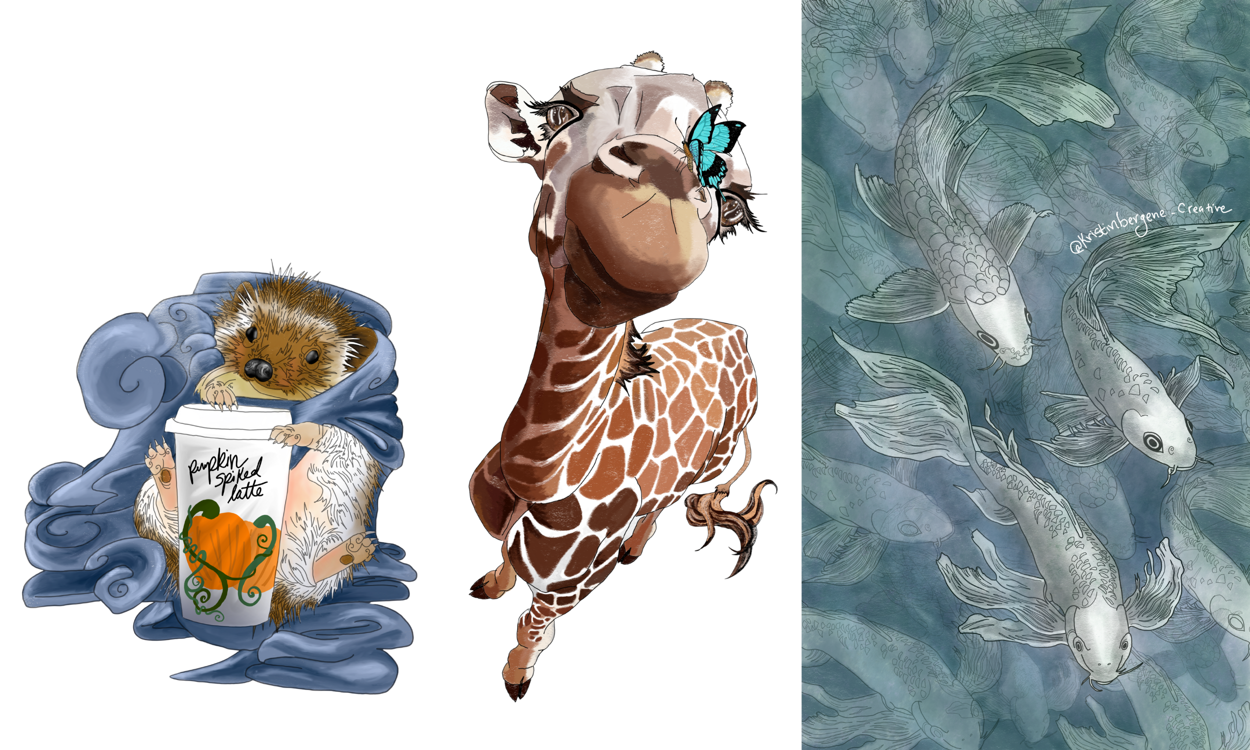Digital Illustrations