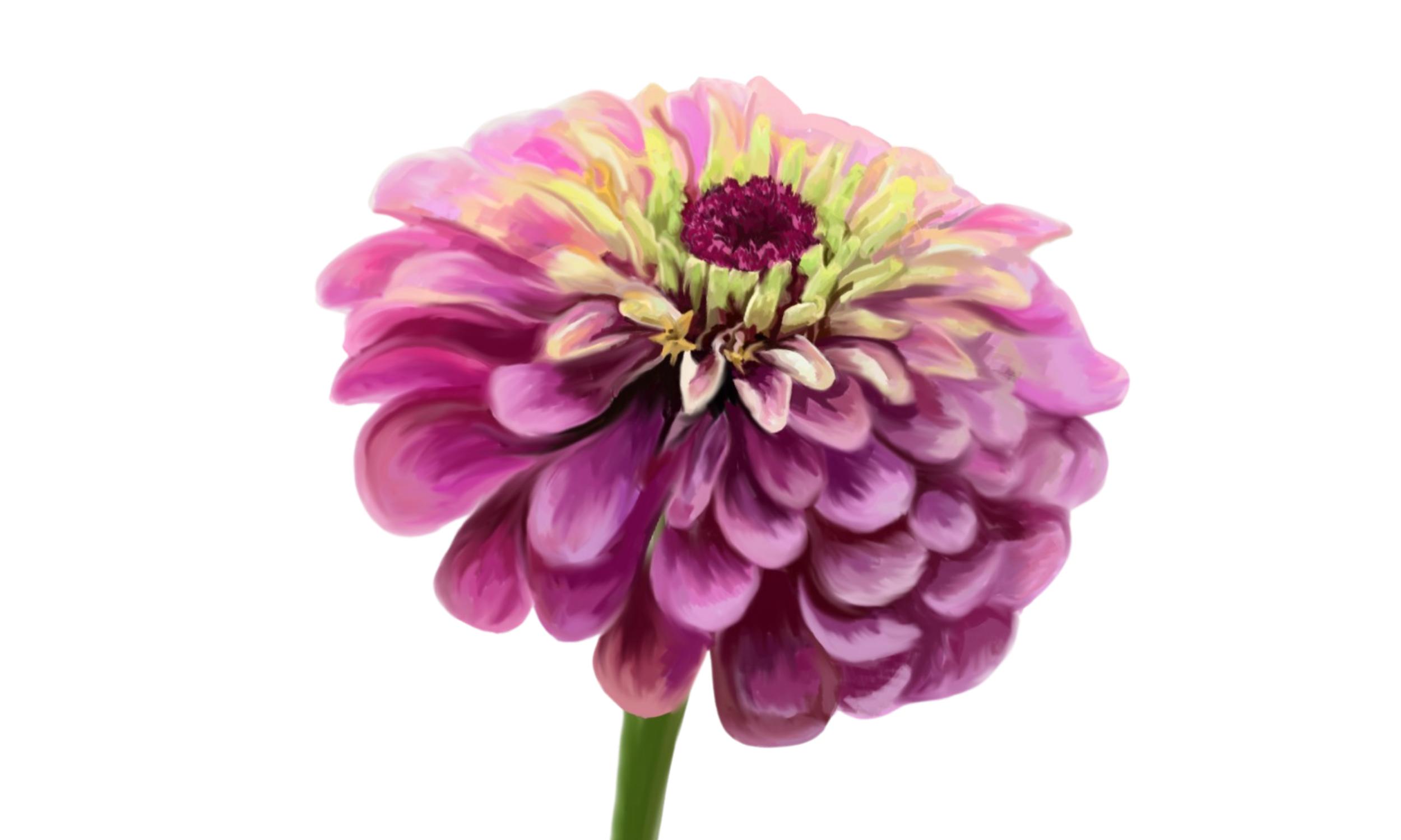 Botanical Linework & Color