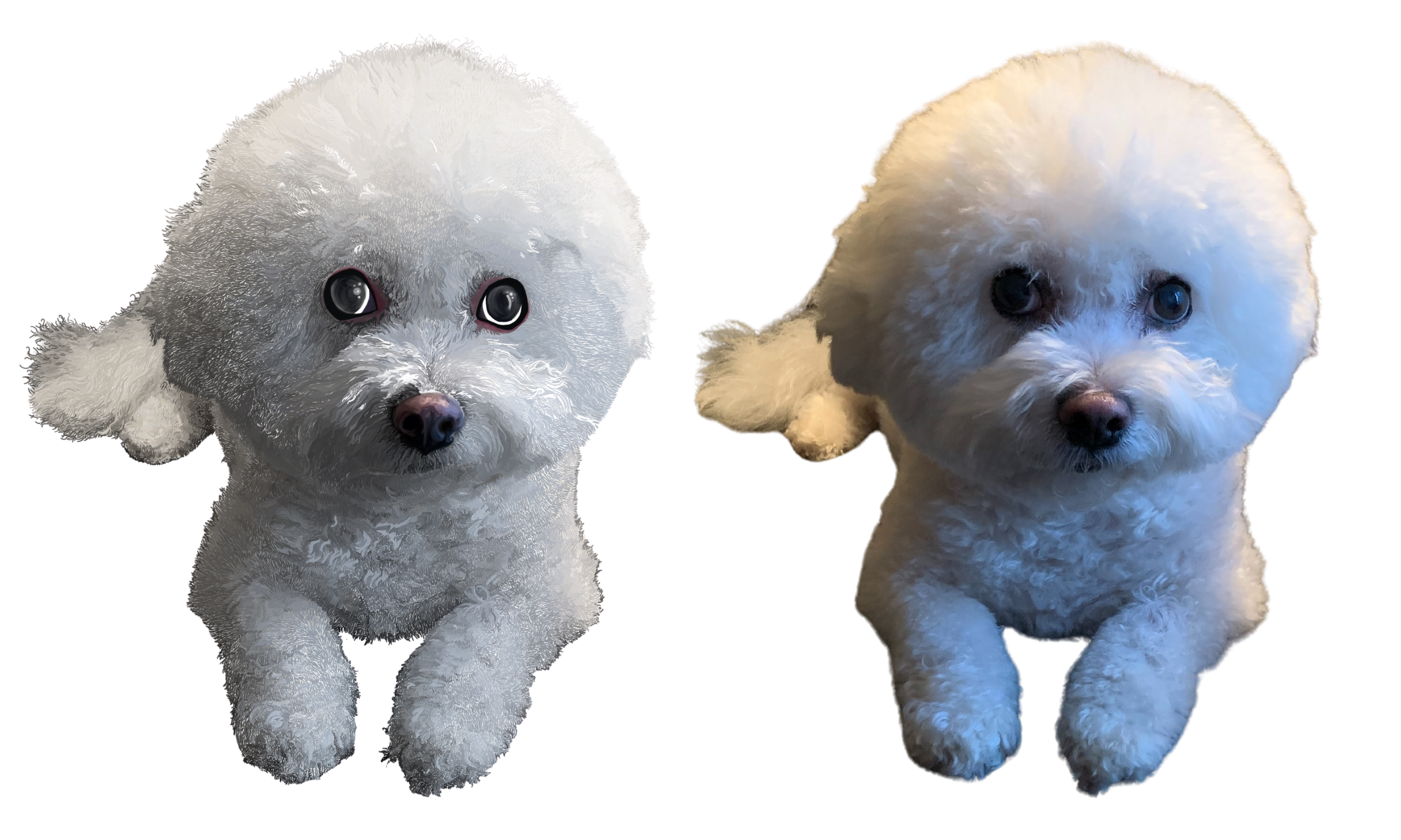 kristin bergene pet portrait gallery (8).png