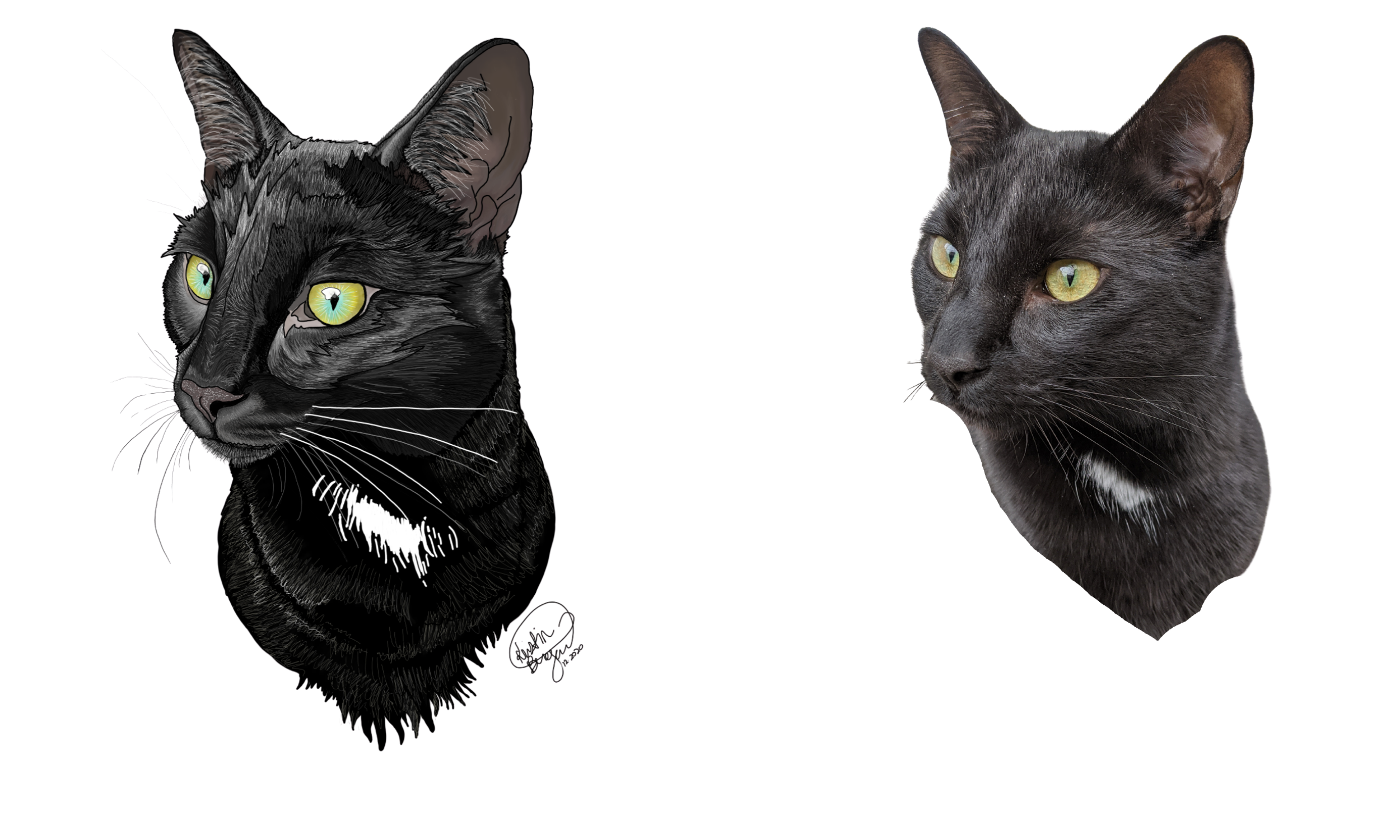 kristin bergene pet portrait gallery.png