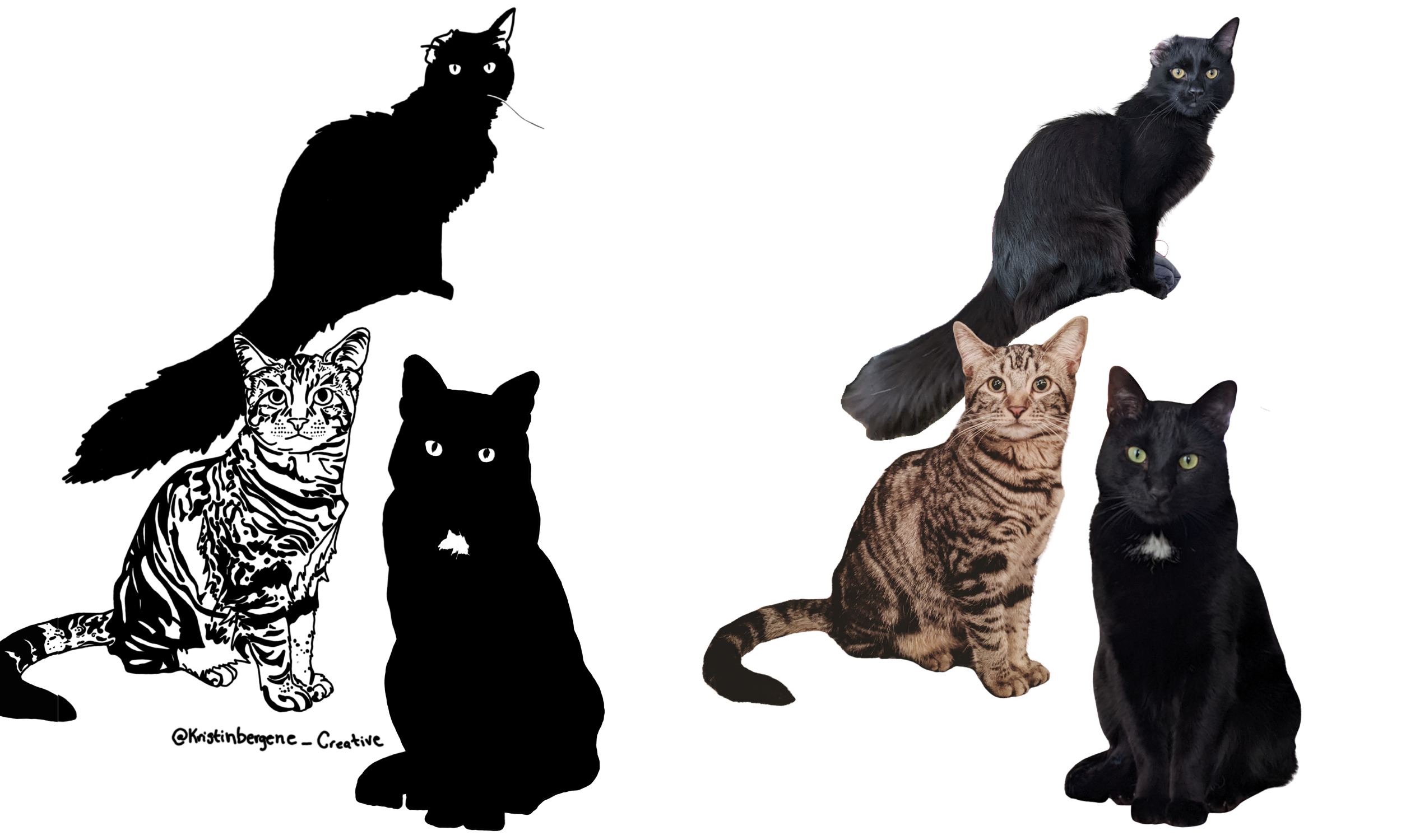 kristin bergene pet portrait gallery (7).png