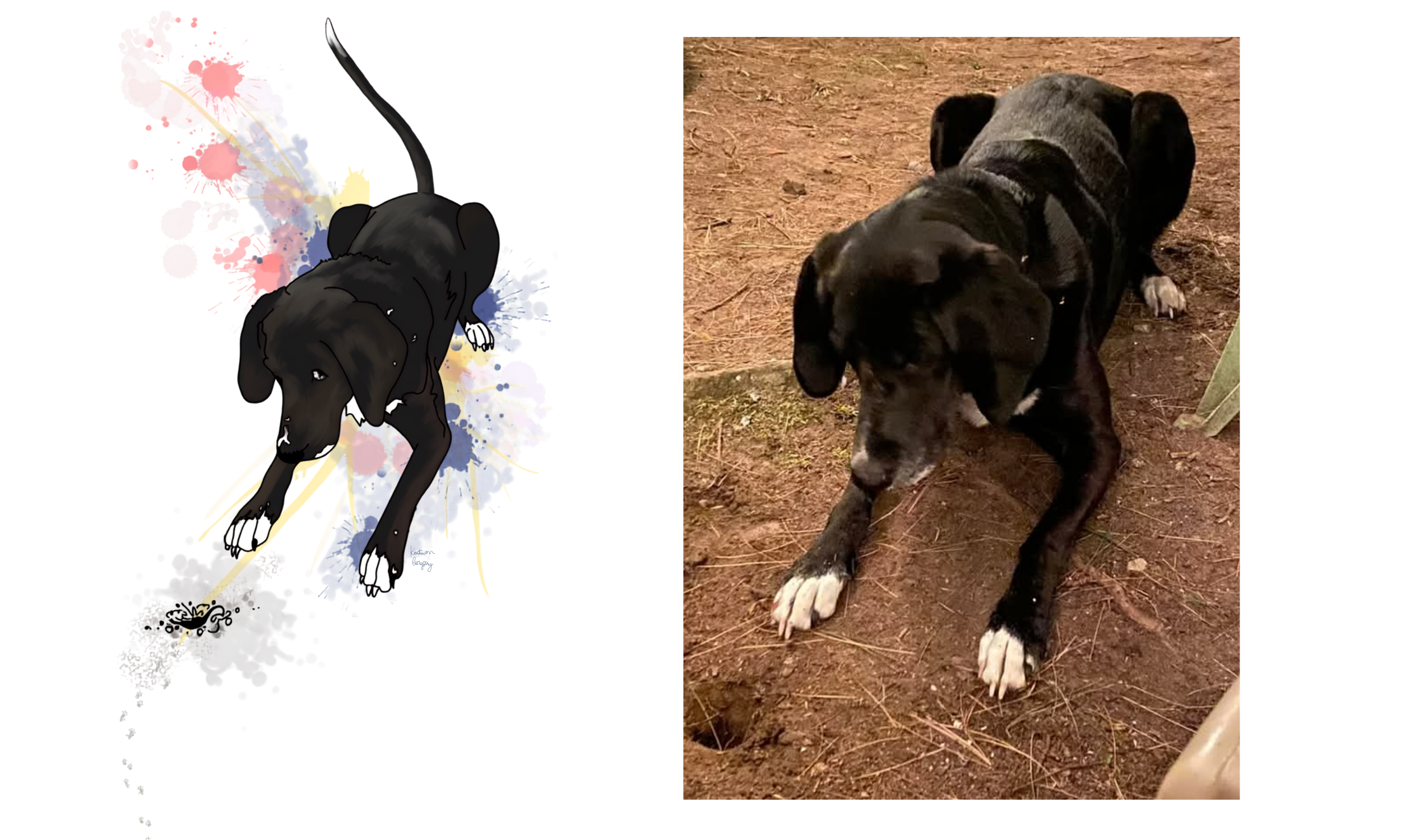 kristin bergene pet portrait gallery (1).png