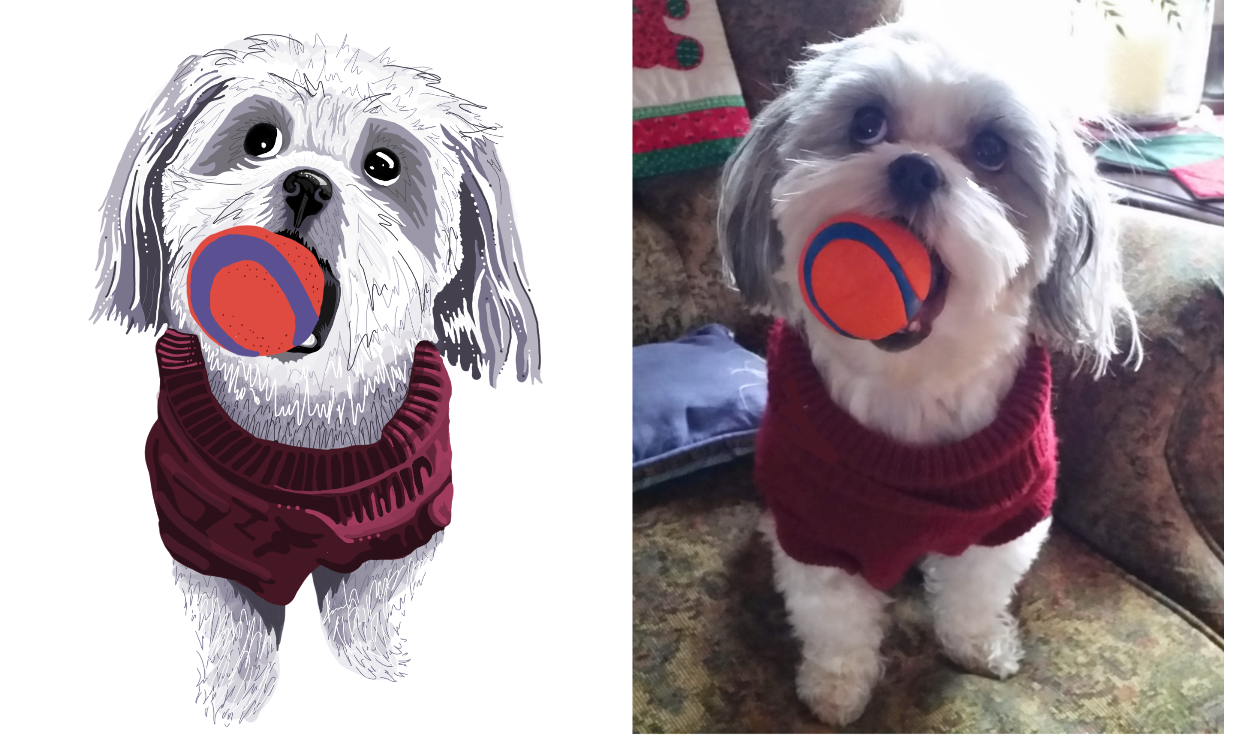 kristin bergene pet portrait gallery (14).png
