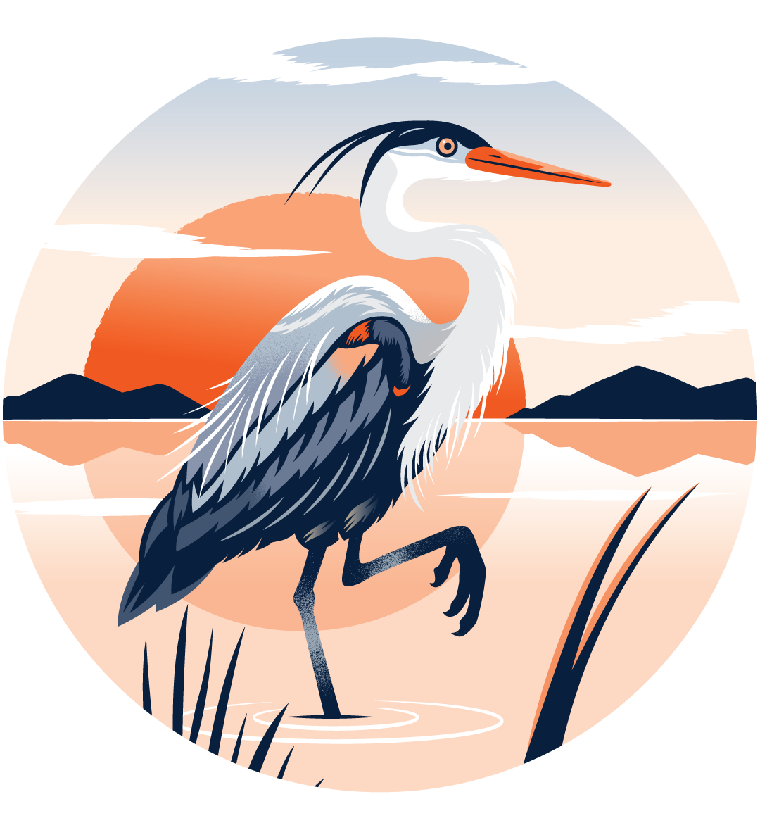 A heron standing still with purpose, reflecting the clarity, focus, and independence behind every brand we build at Gregg Design Company.