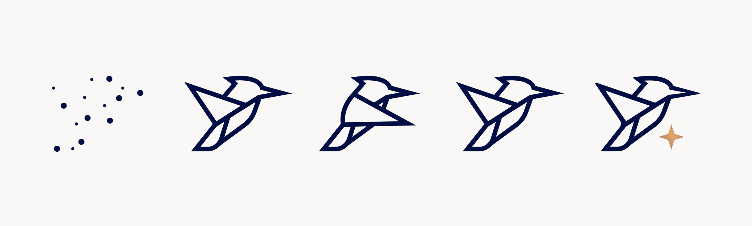 Frames from the Royal Blue Financial Group animated logo reveal showing the constellation transforming into the kingfisher brand mark.