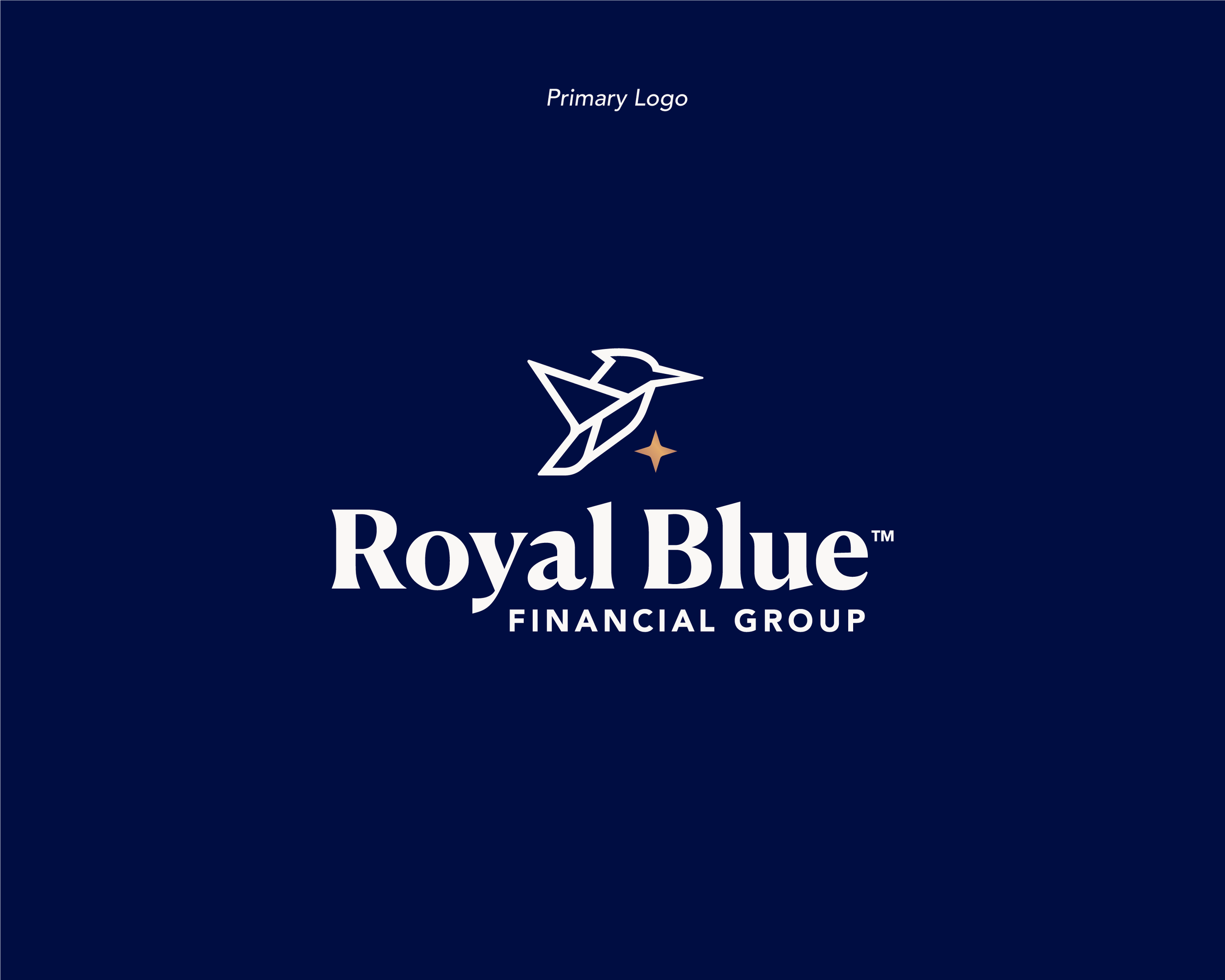Primary Royal Blue Financial Group logo featuring the custom kingfisher icon, North Star, and premium serif wordmark.