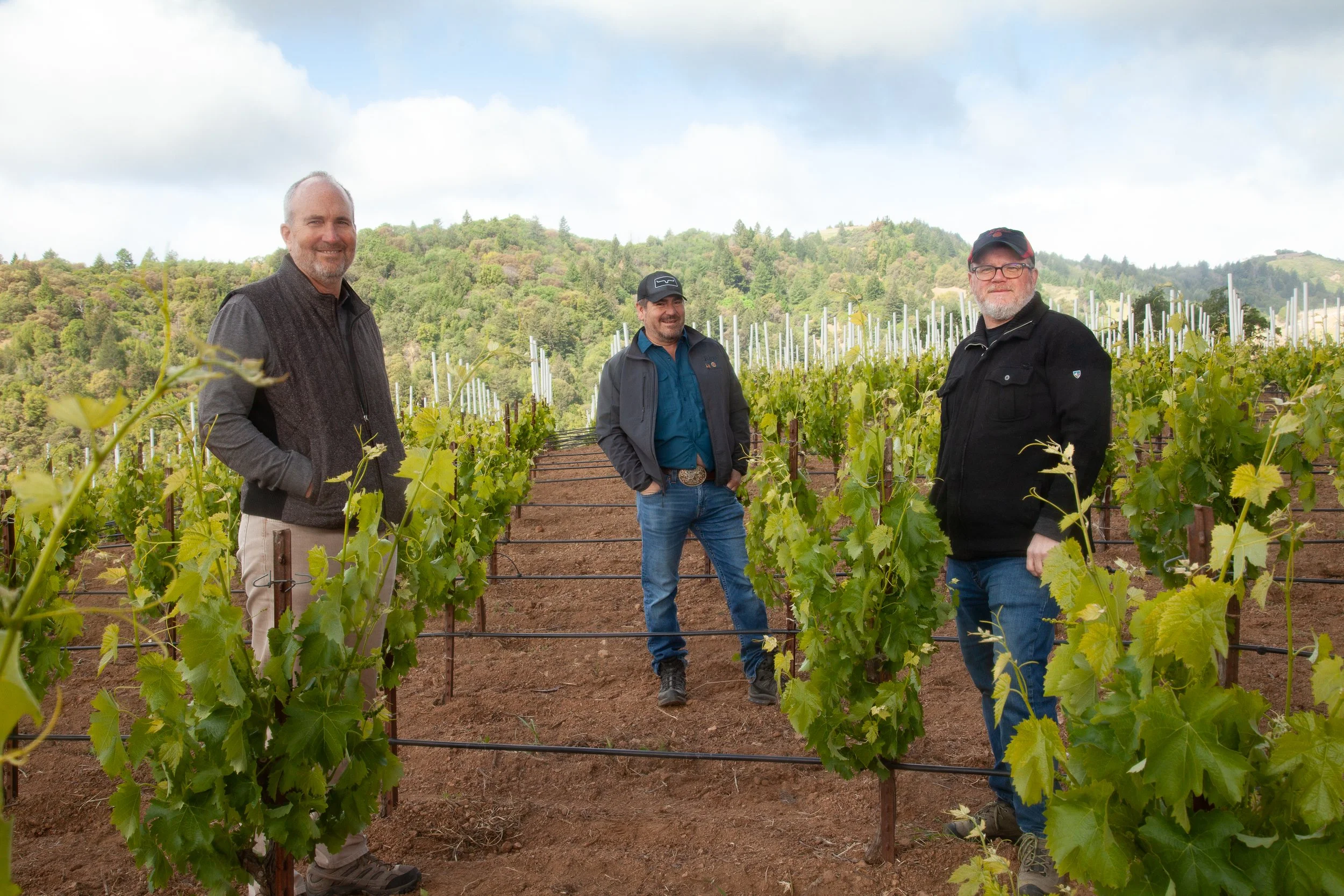 Three men standing in a vineyard with green leaves and grapevines, hillside in the background, partly cloudy sky.