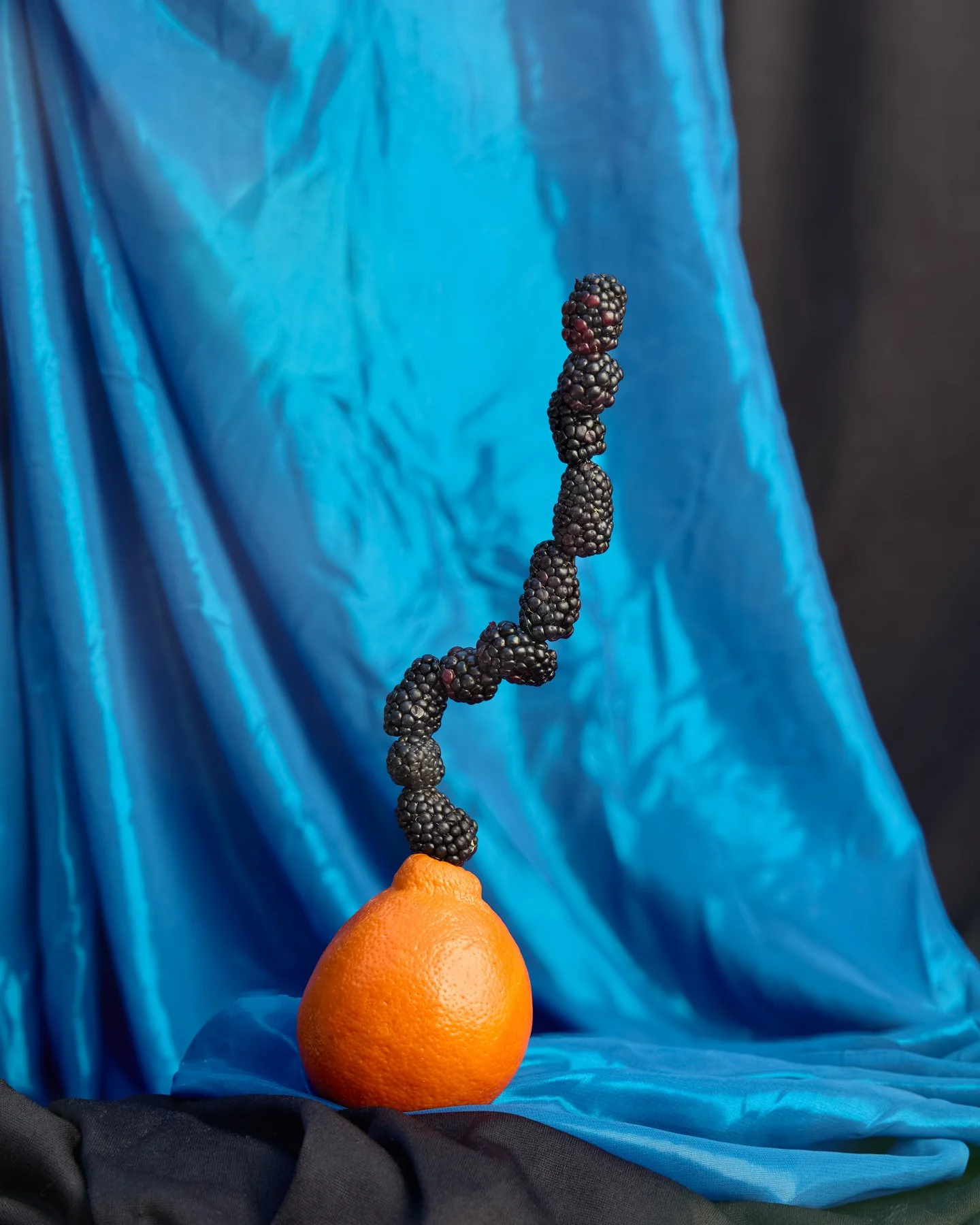 An orange with blackberries on a stick emerging from it, set against a blue and black fabric backdrop.