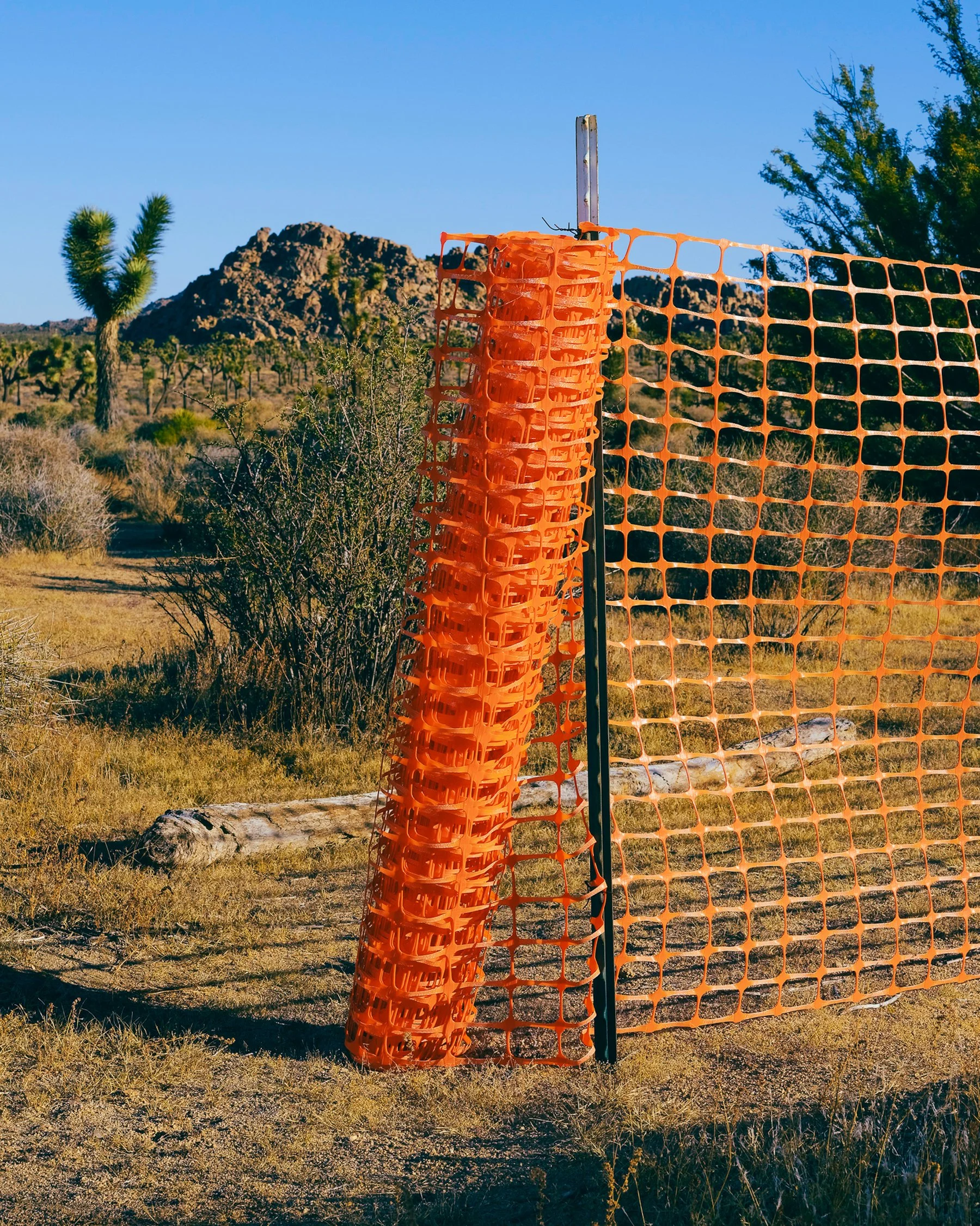 Orange construction fencing rolled up on a pole in a desert landscape with bushes, a fallen log, and mountains in the background.