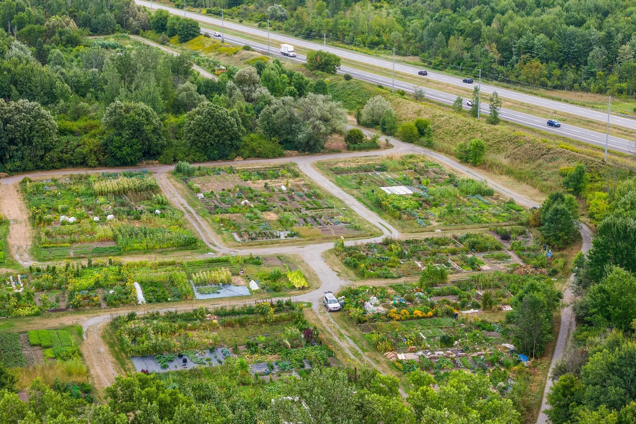 44_DJI_20250826144522_0149_D.jpg