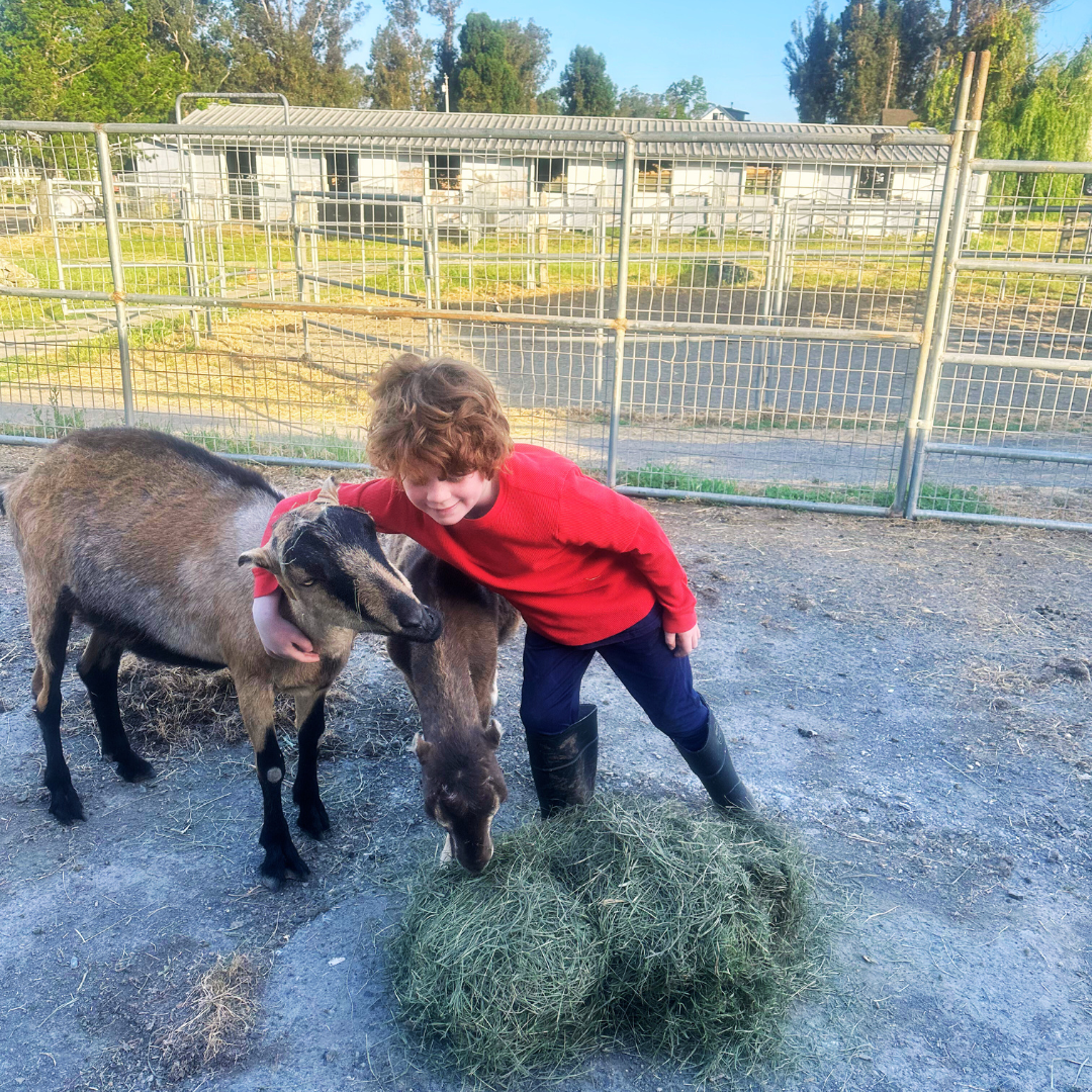 Children at Strides Riding Academy summer camp in Petaluma.