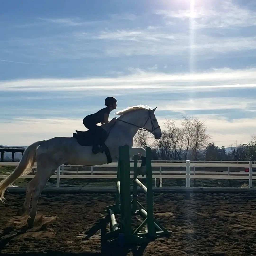What is the IEA? A Guide to Equestrian Opportunities with Strides Riding Academy